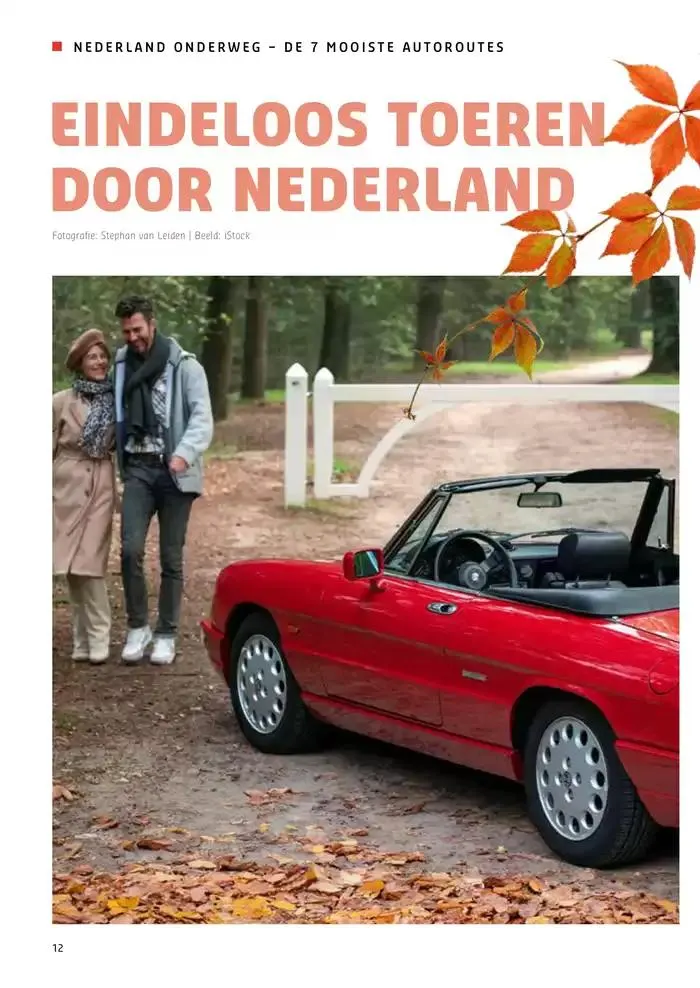 Dichtbij van 18 november tot 2 december 2024 - Folder pagina 12