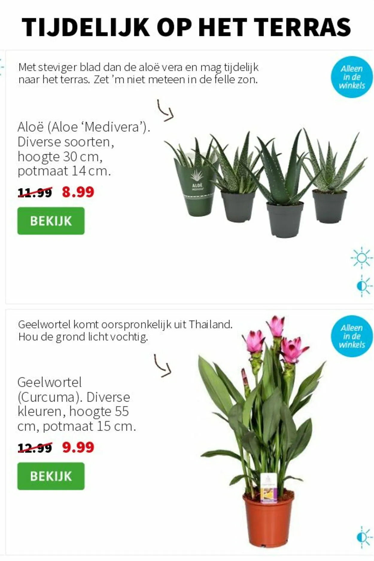 Intratuin van 12 mei tot 18 mei 2025 - Folder pagina 3