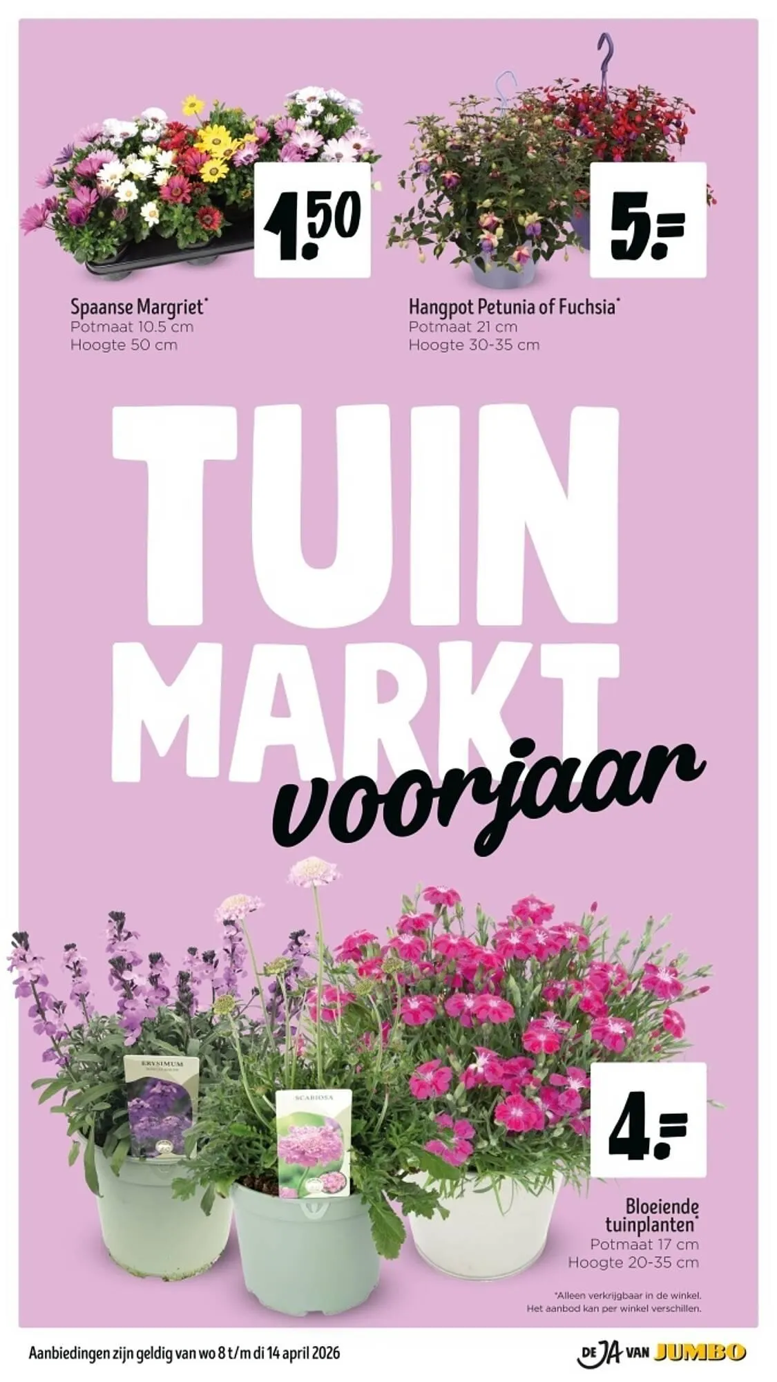 Jumbo folder van 8 april tot 14 april 2026 - Folder pagina 37