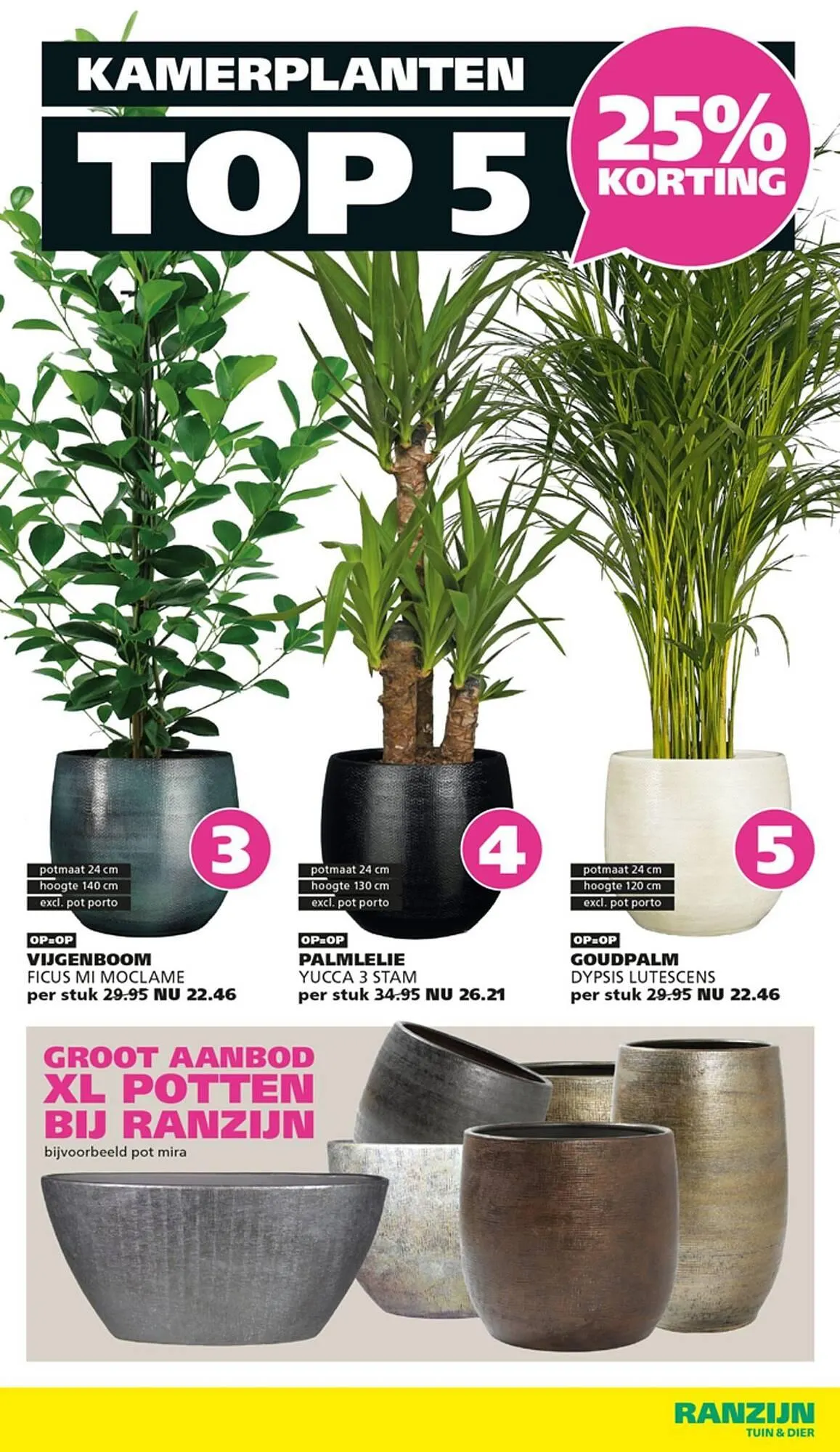 Ranzijn folder van 4 januari tot 24 januari 2026 - Folder pagina 3