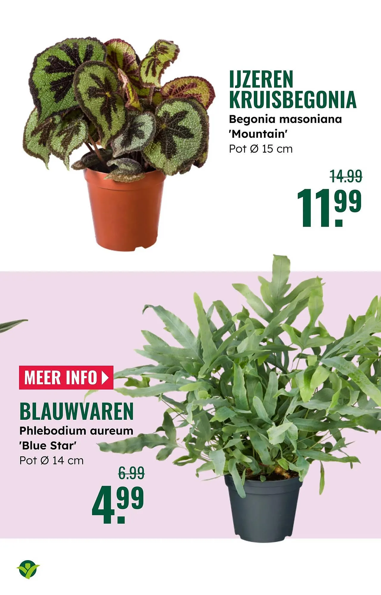 GroenRijk folder van 16 april tot 29 april 2025 - Folder pagina 19