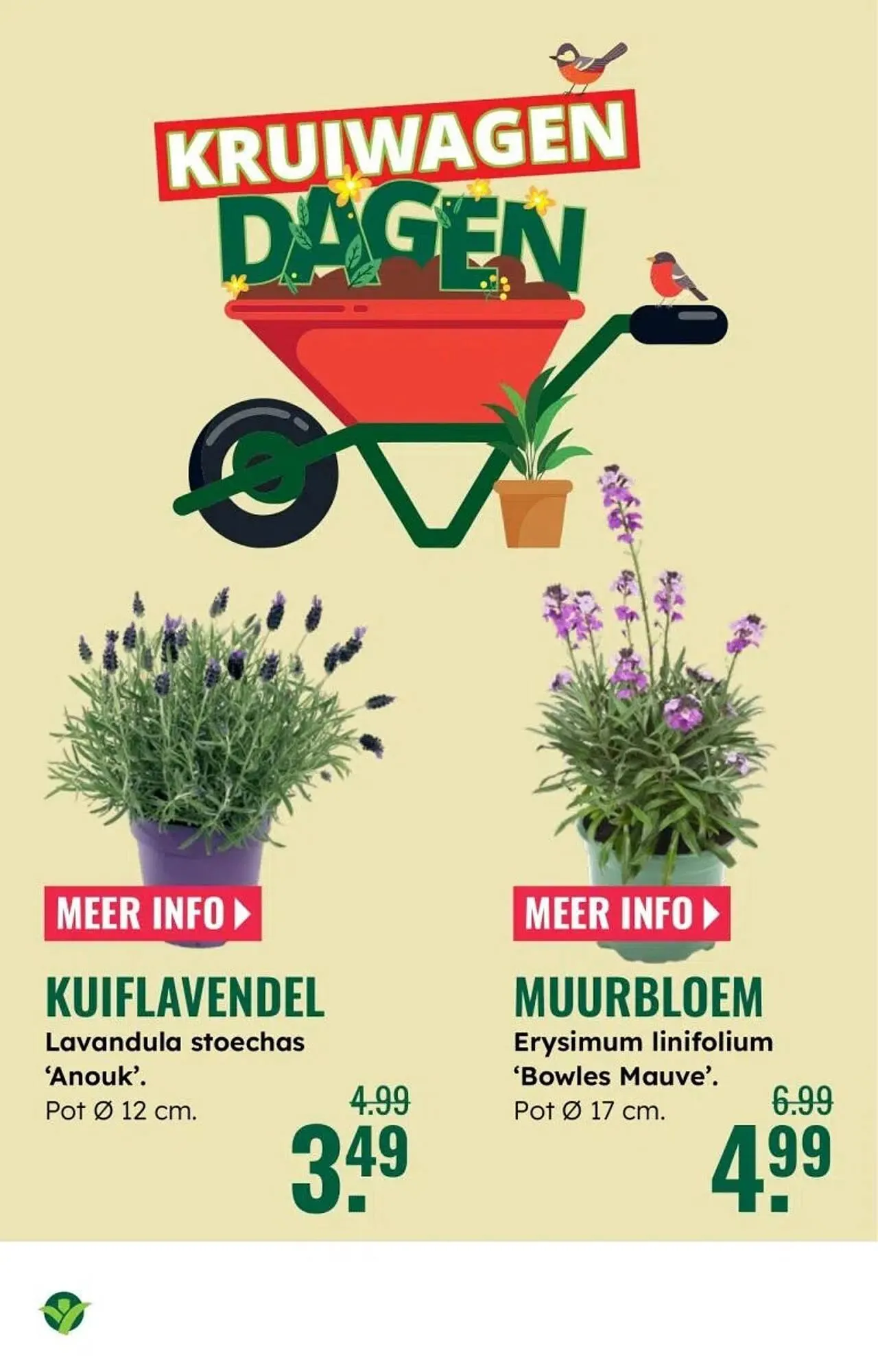 GroenRijk folder van 5 maart tot 11 maart 2026 - Folder pagina 4