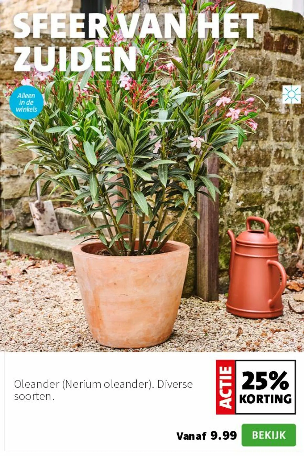 Intratuin Actuele folder van 23 november tot 7 december 2025 - Folder pagina 2