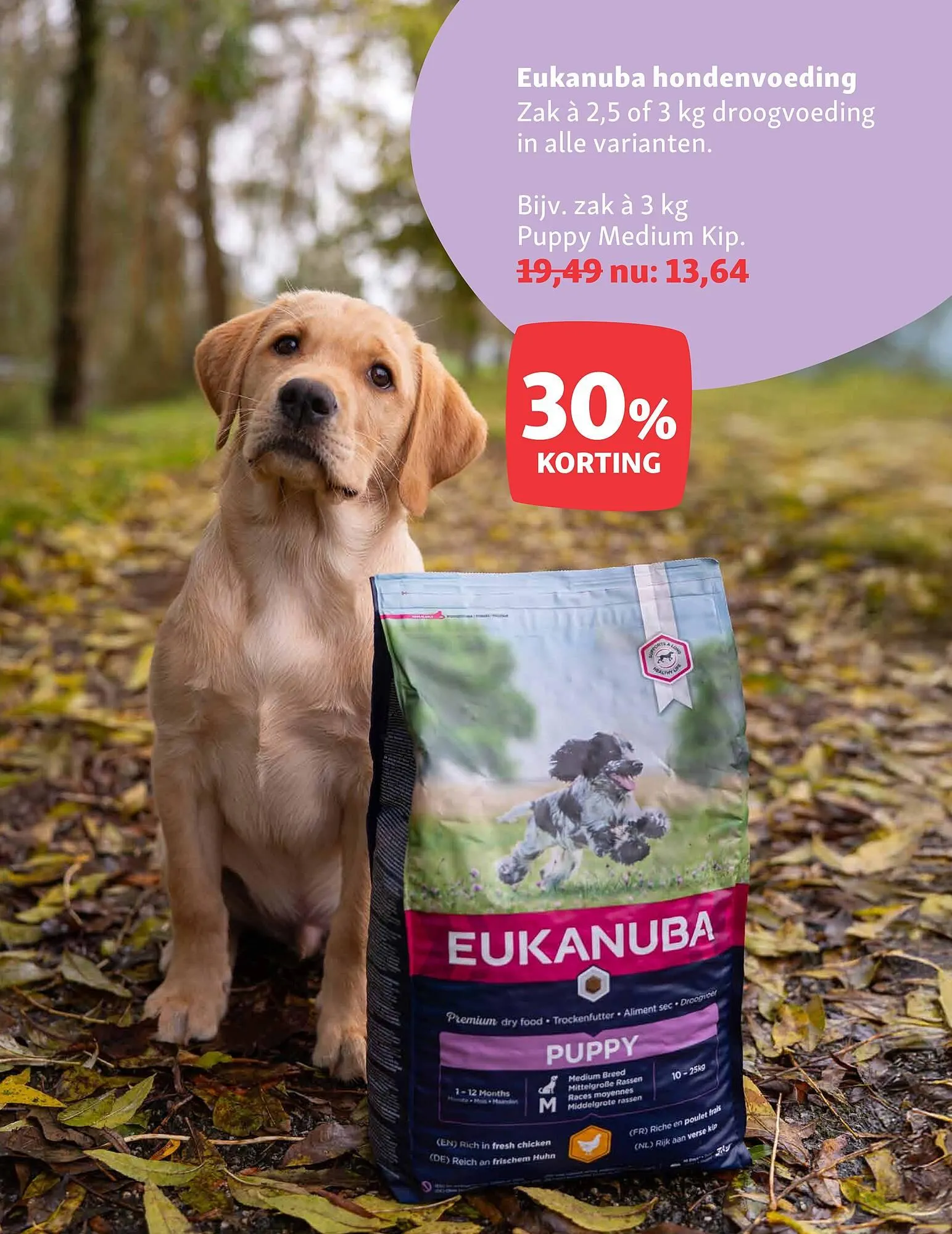 Maxi Zoo folder van 8 september tot 14 september 2025 - Folder pagina 3