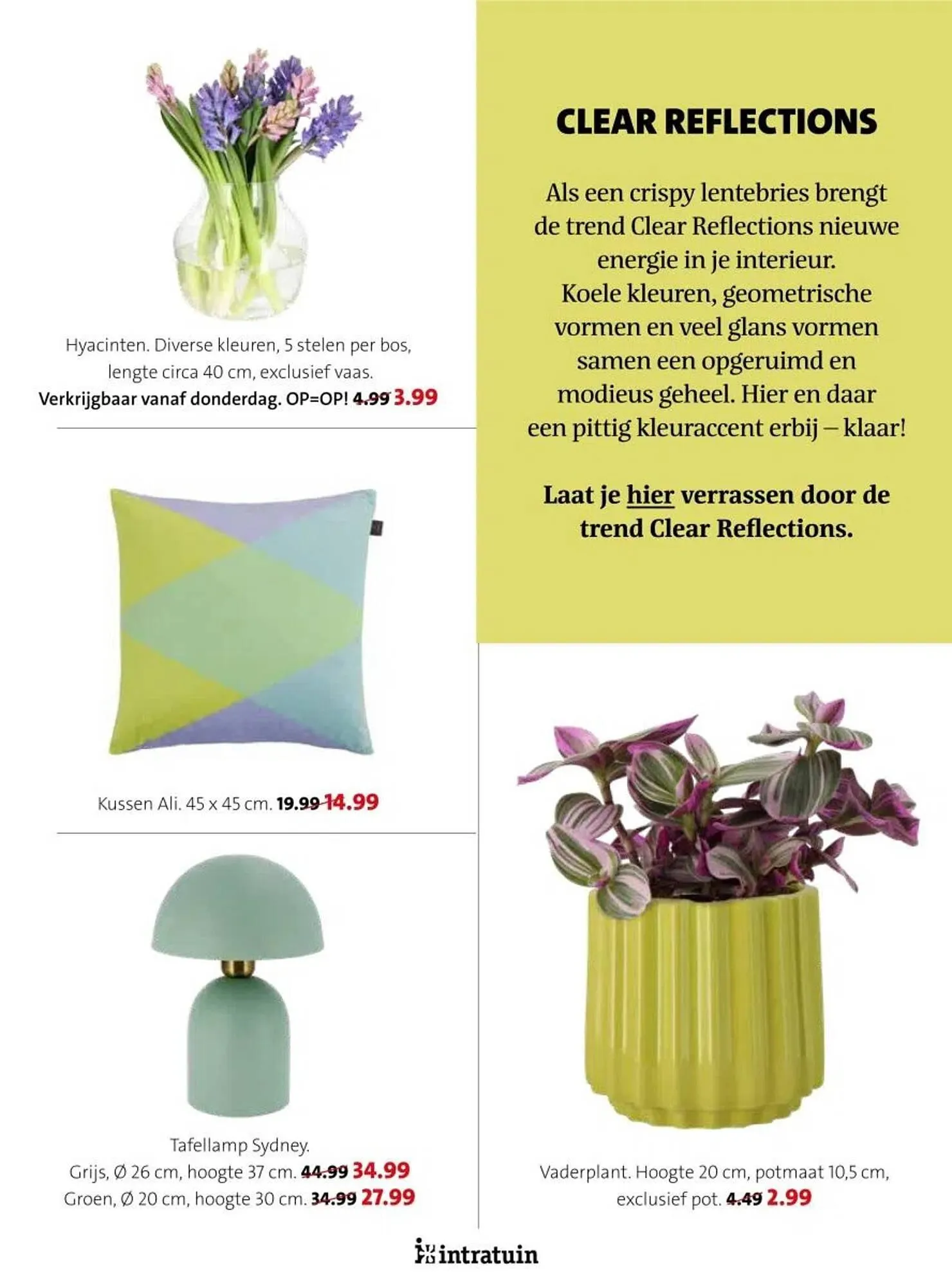 Intratuin folder van 17 februari tot 23 februari 2025 - Folder pagina 14