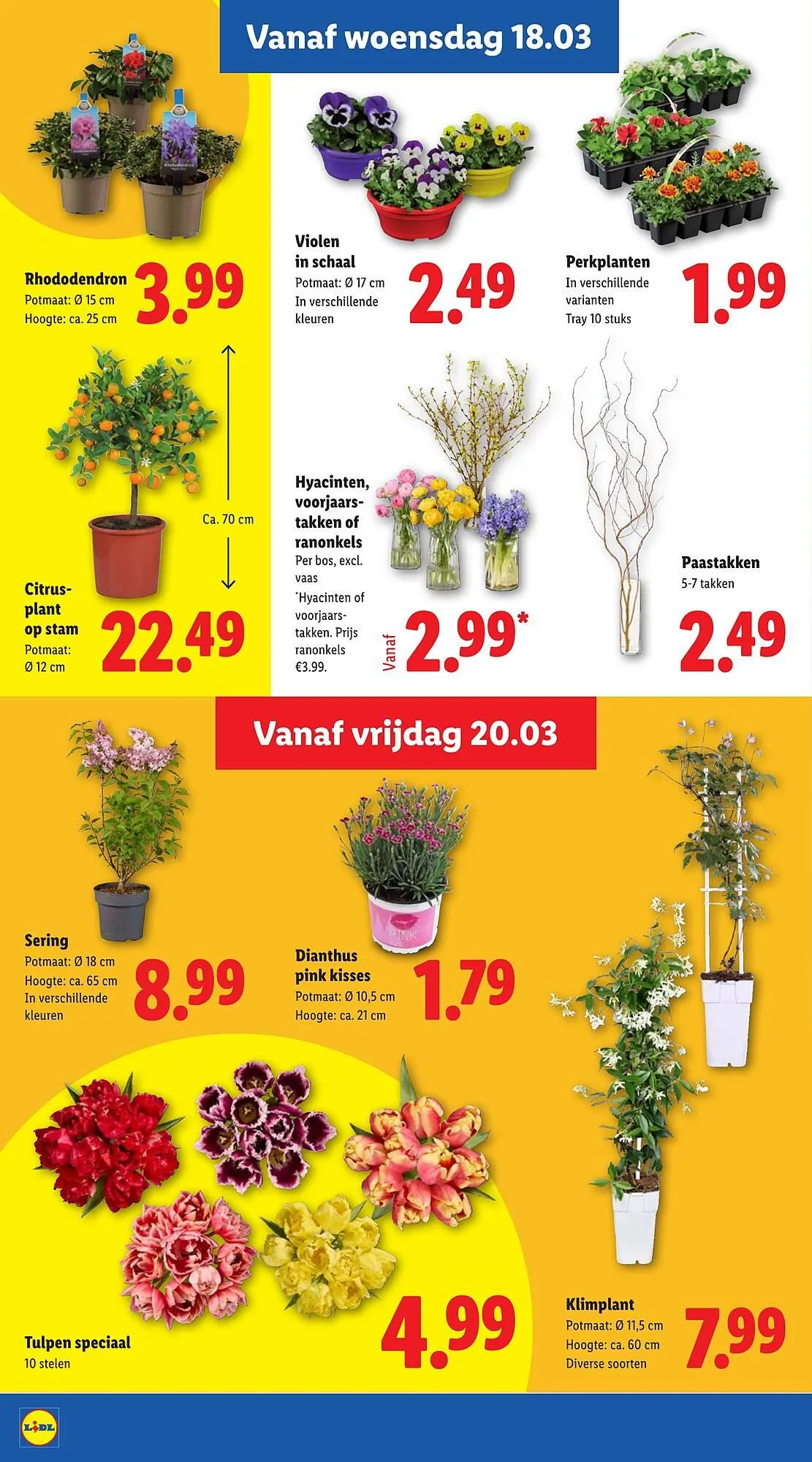 Lidl folder van 16 maart tot 22 maart 2026 - Folder pagina 18