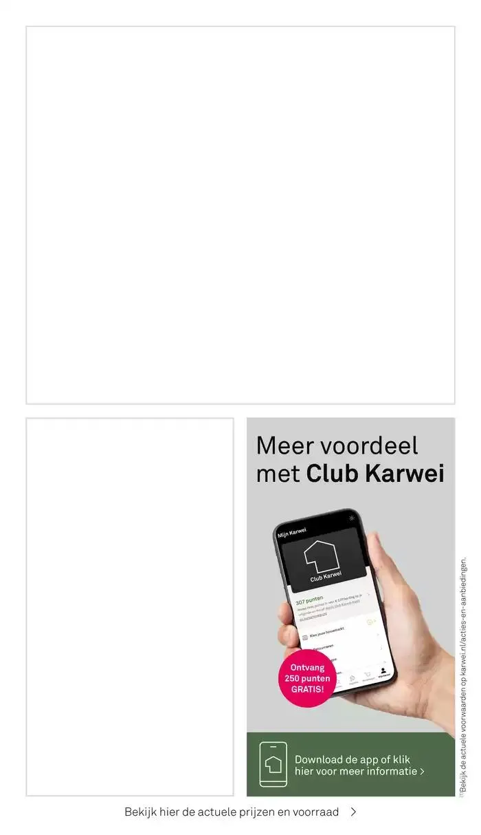 Karwei folder van 27 januari tot 10 februari 2025 - Folder pagina 24