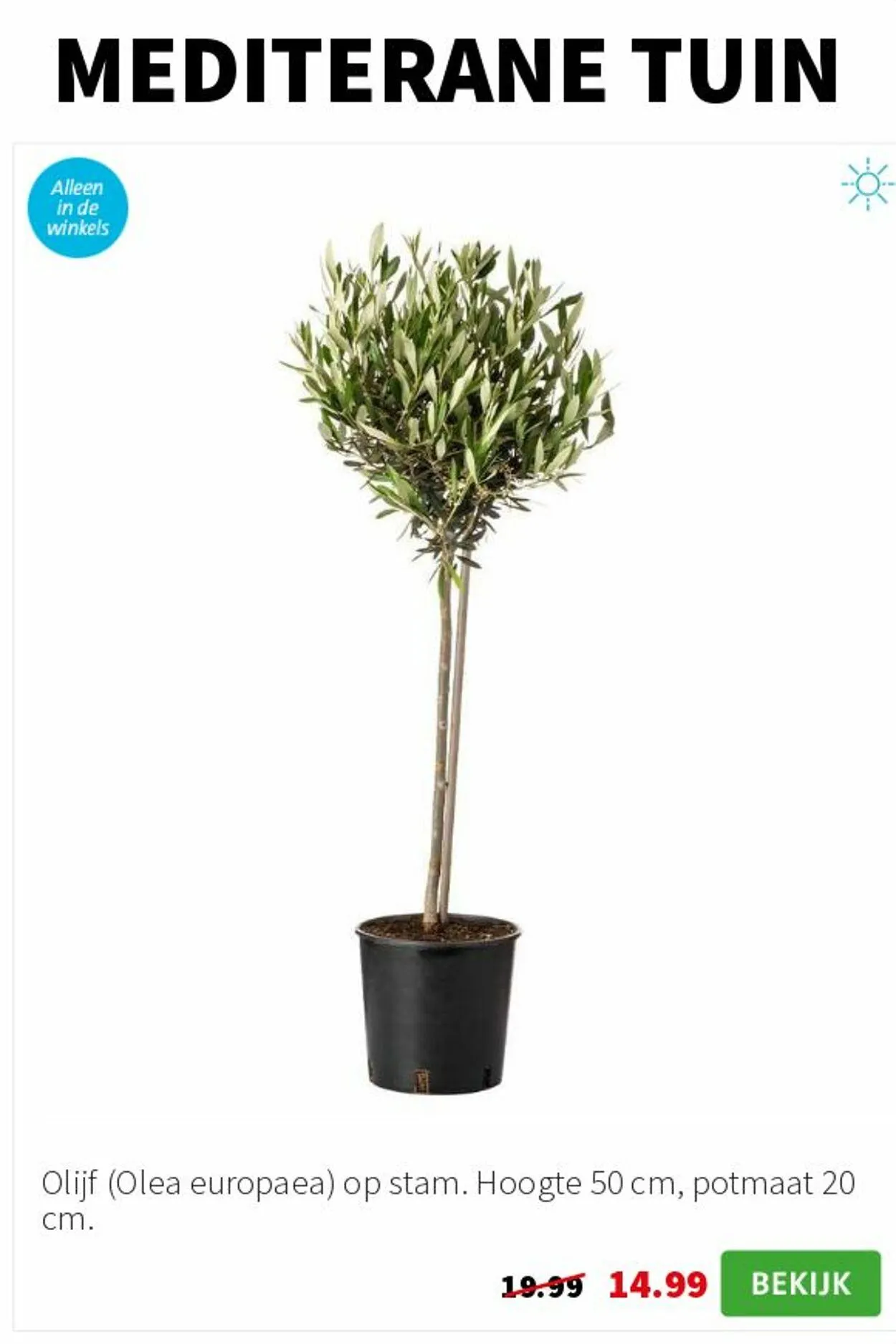 Intratuin Actuele folder van 9 november tot 23 november 2025 - Folder pagina 3