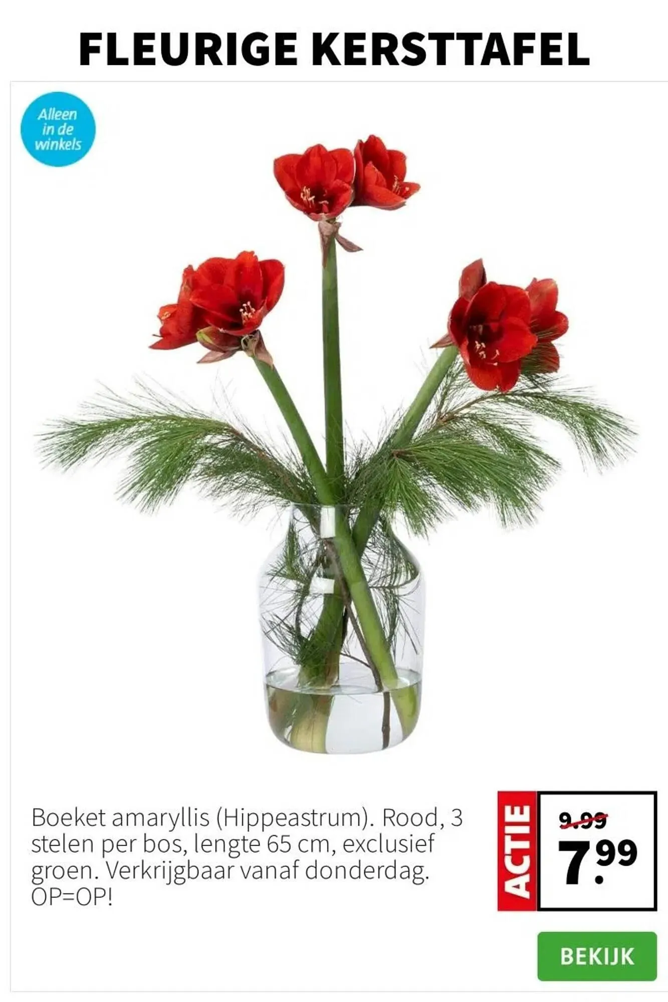 Intratuin folder van 15 december tot 21 december 2025 - Folder pagina 6