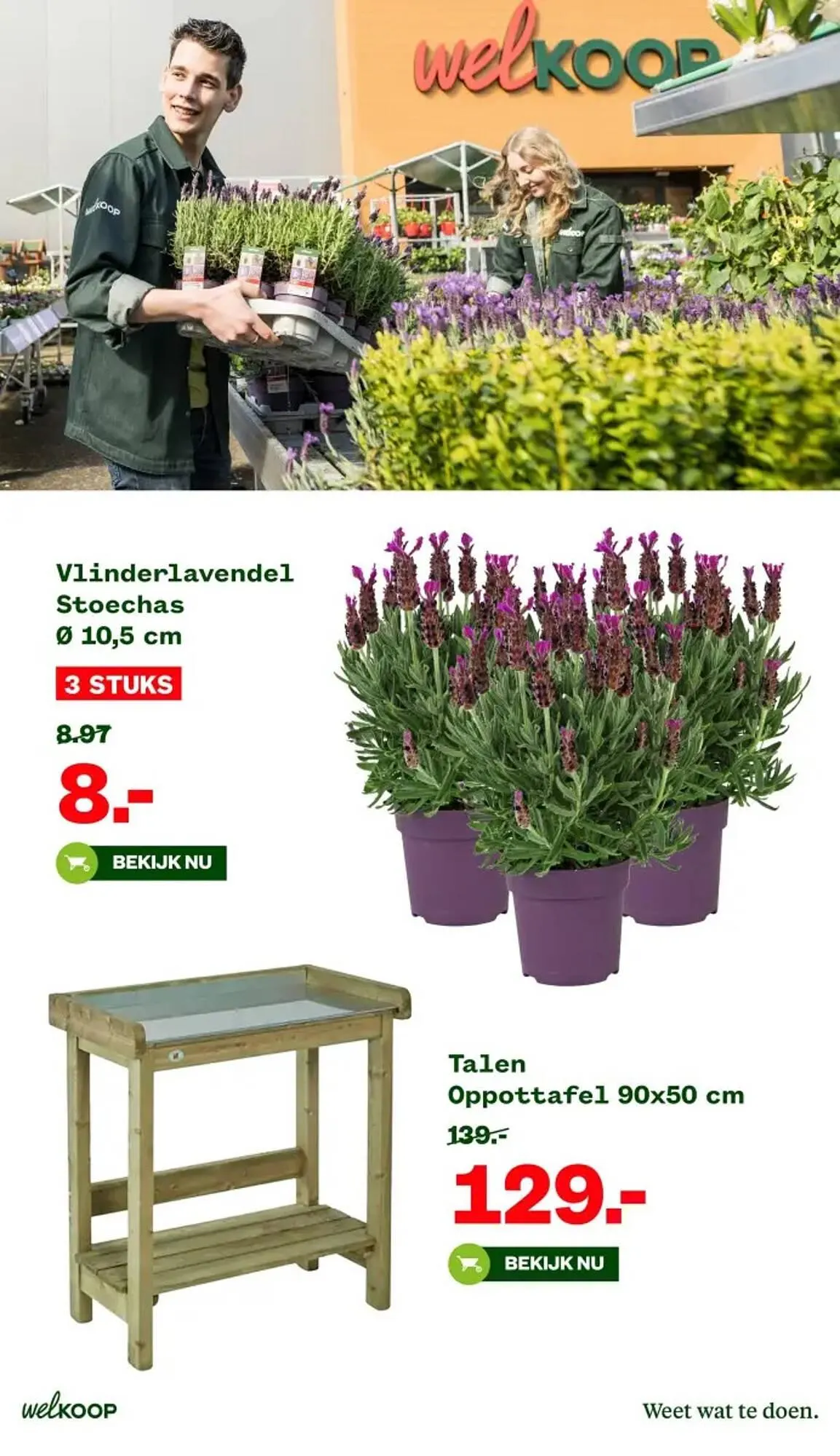 Welkoop folder van 17 maart tot 30 maart 2025 - Folder pagina 3