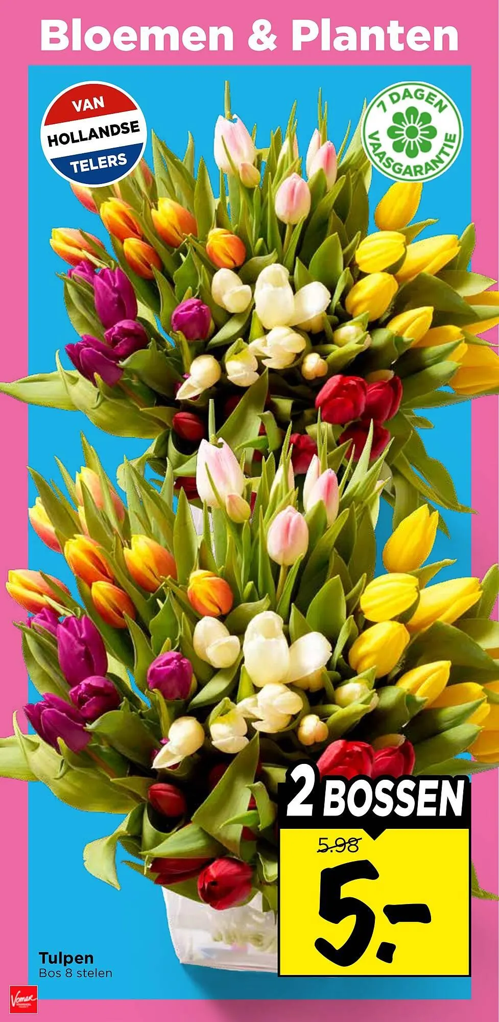 Vomar Voordeelmarkt folder van 8 maart tot 14 maart 2026 - Folder pagina 31