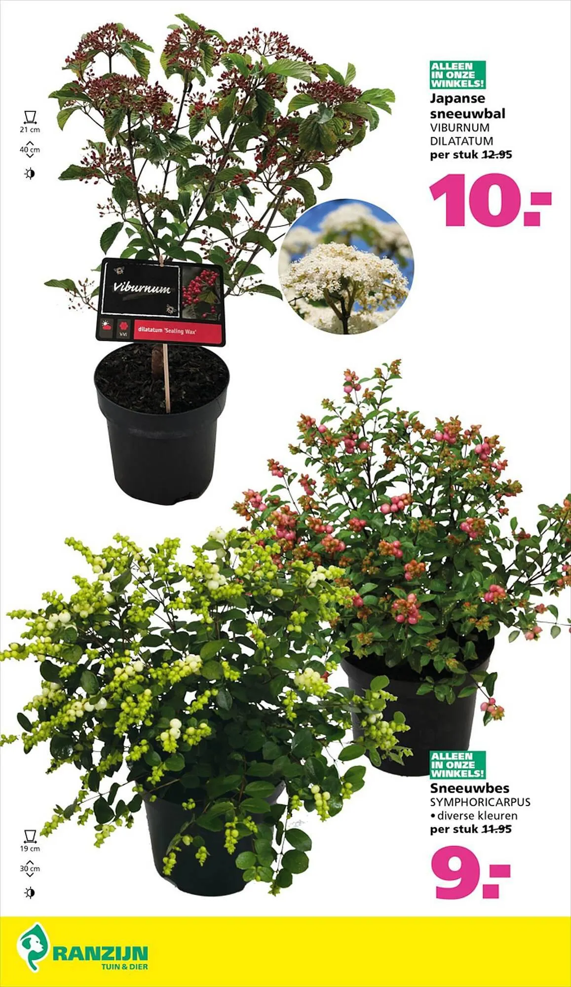 Ranzijn folder van 17 september tot 23 september 2023 - Folder pagina 5