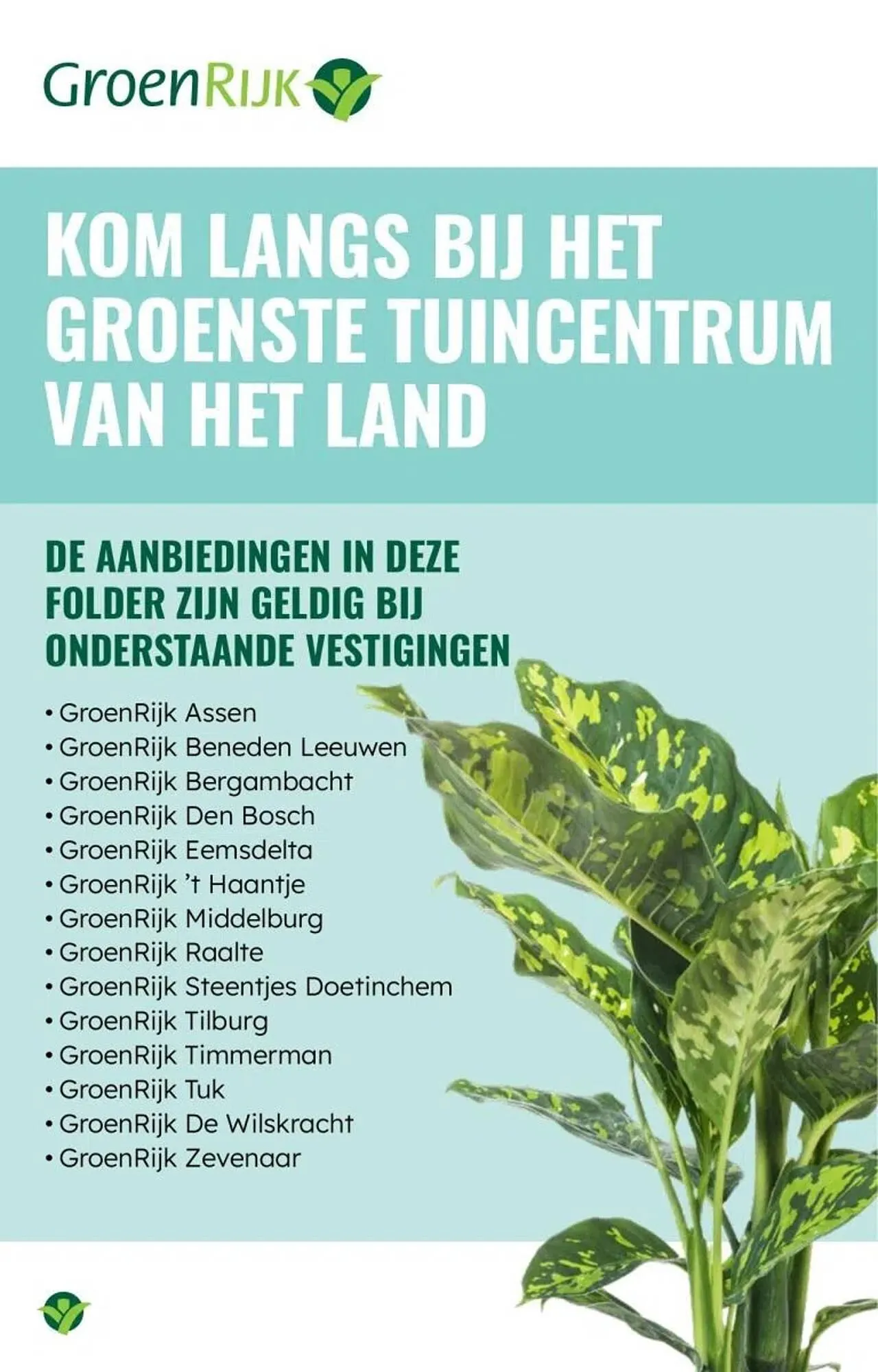 GroenRijk folder van 30 december tot 7 januari 2026 - Folder pagina 2