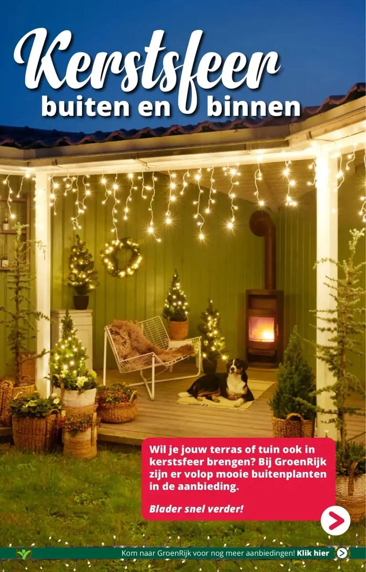 GroenRijk folder van 29 november tot 5 december 2023 - Folder pagina 11