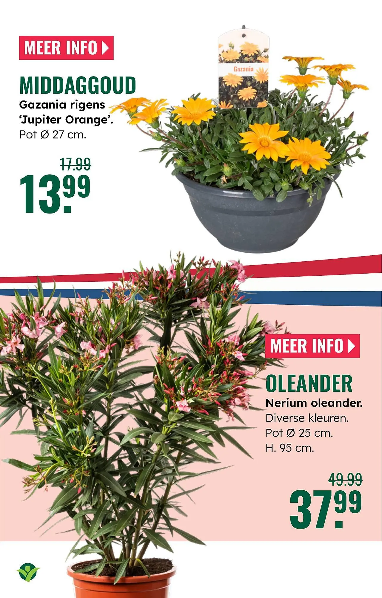 GroenRijk folder van 23 april tot 29 april 2026 - Folder pagina 3