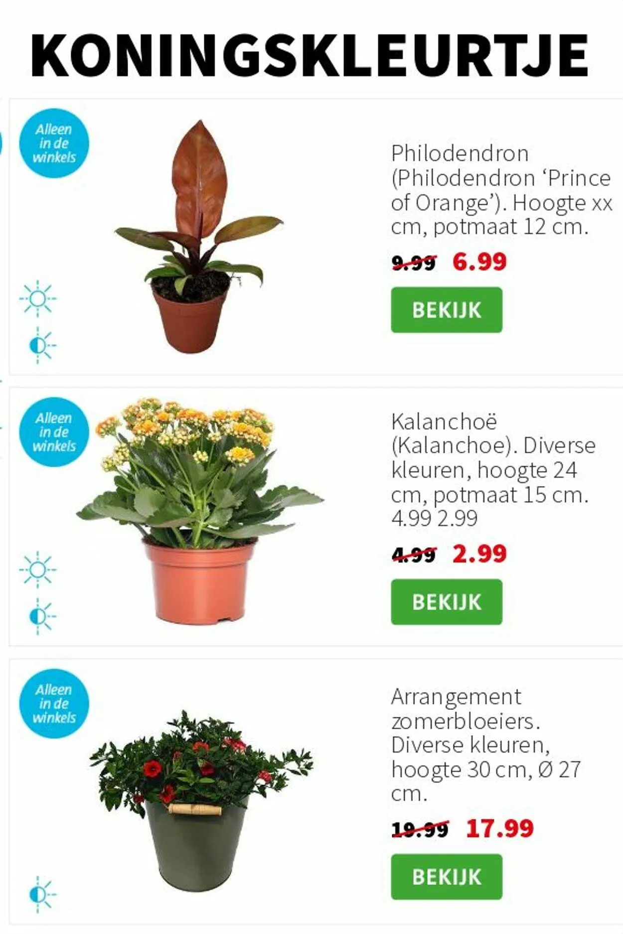 Intratuin Actuele folder van 17 augustus tot 31 augustus 2025 - Folder pagina 7