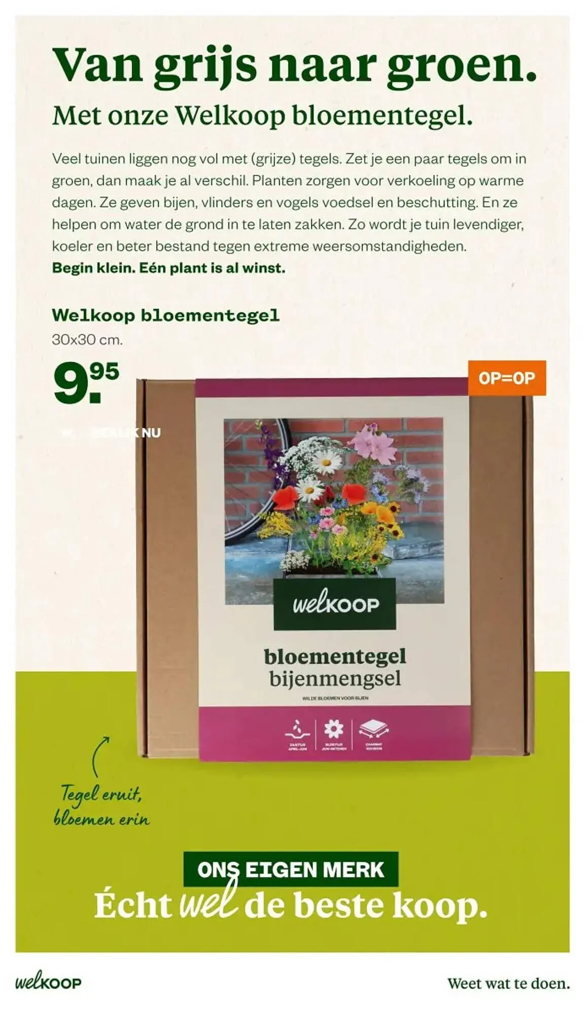 Welkoop folder van 10 juni tot 22 juni 2025 - Folder pagina 15