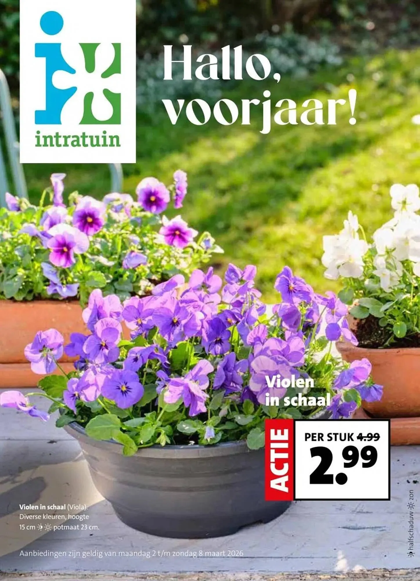 Intratuin folder van 2 maart tot 8 maart 2026 - Folder pagina 1