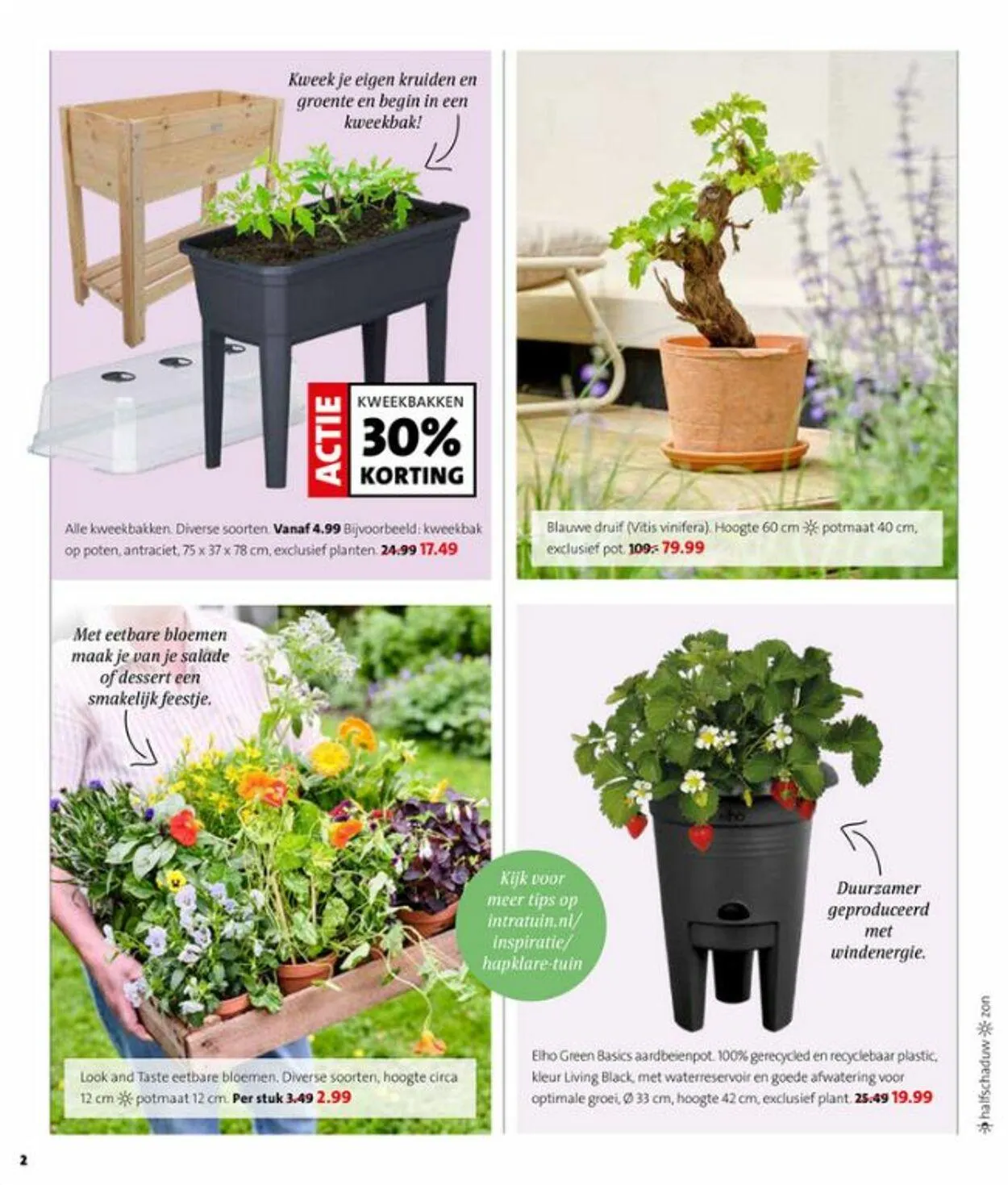 Intratuin van 19 mei tot 25 mei 2025 - Folder pagina 2