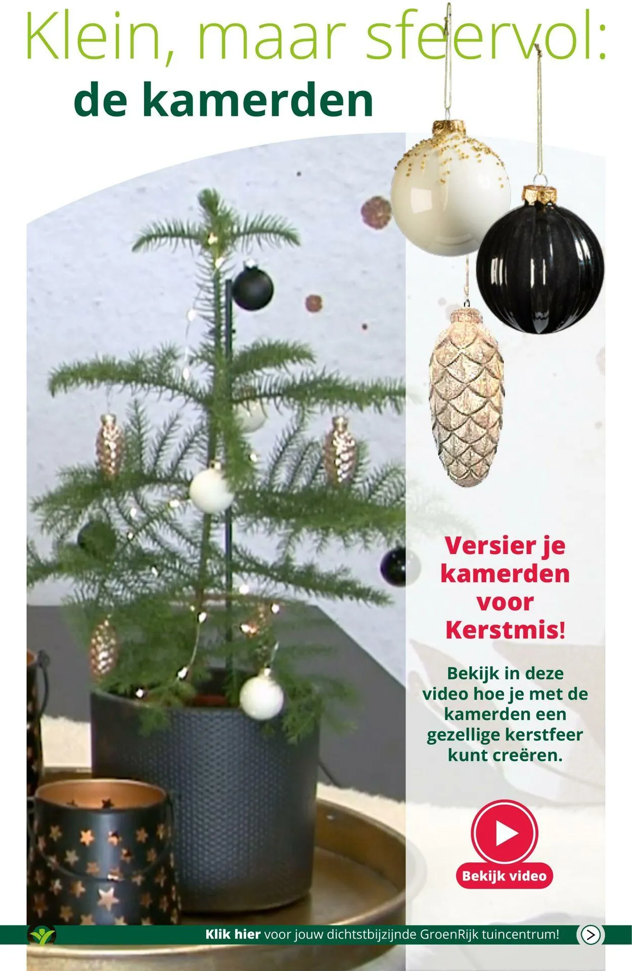 GroenRijk Actuele folder van 21 januari tot 4 februari 2025 - Folder pagina 7