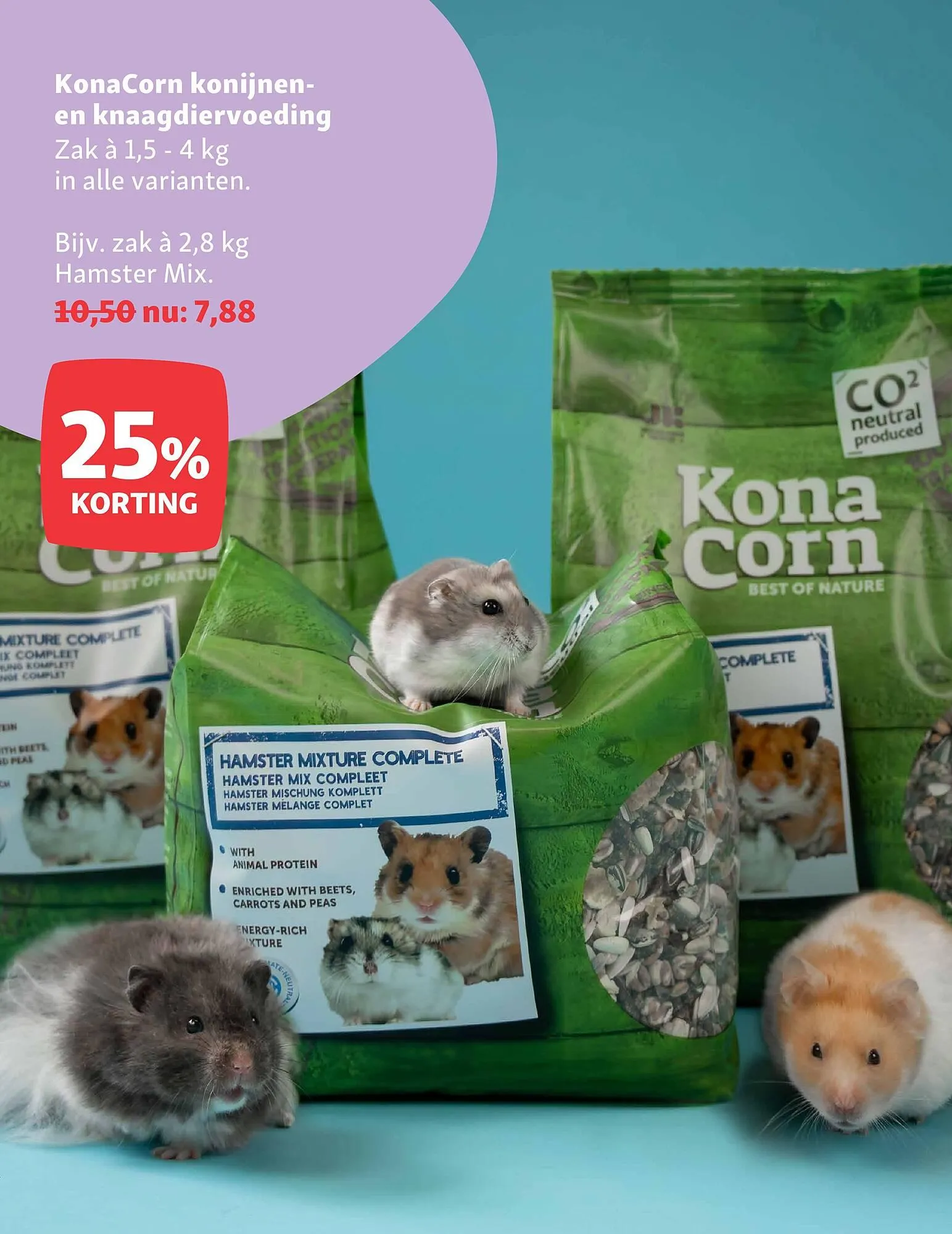 Maxi Zoo folder van 9 juni tot 15 juni 2025 - Folder pagina 22