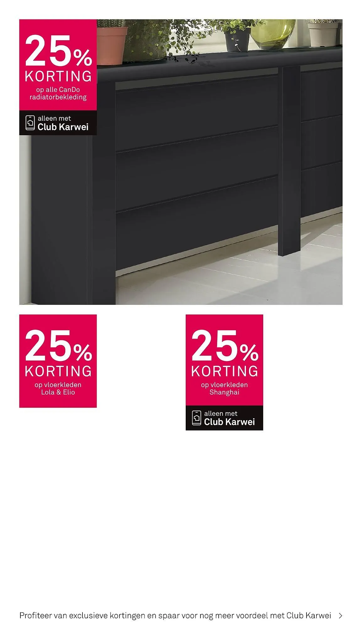 Karwei folder van 15 december tot 21 december 2025 - Folder pagina 5