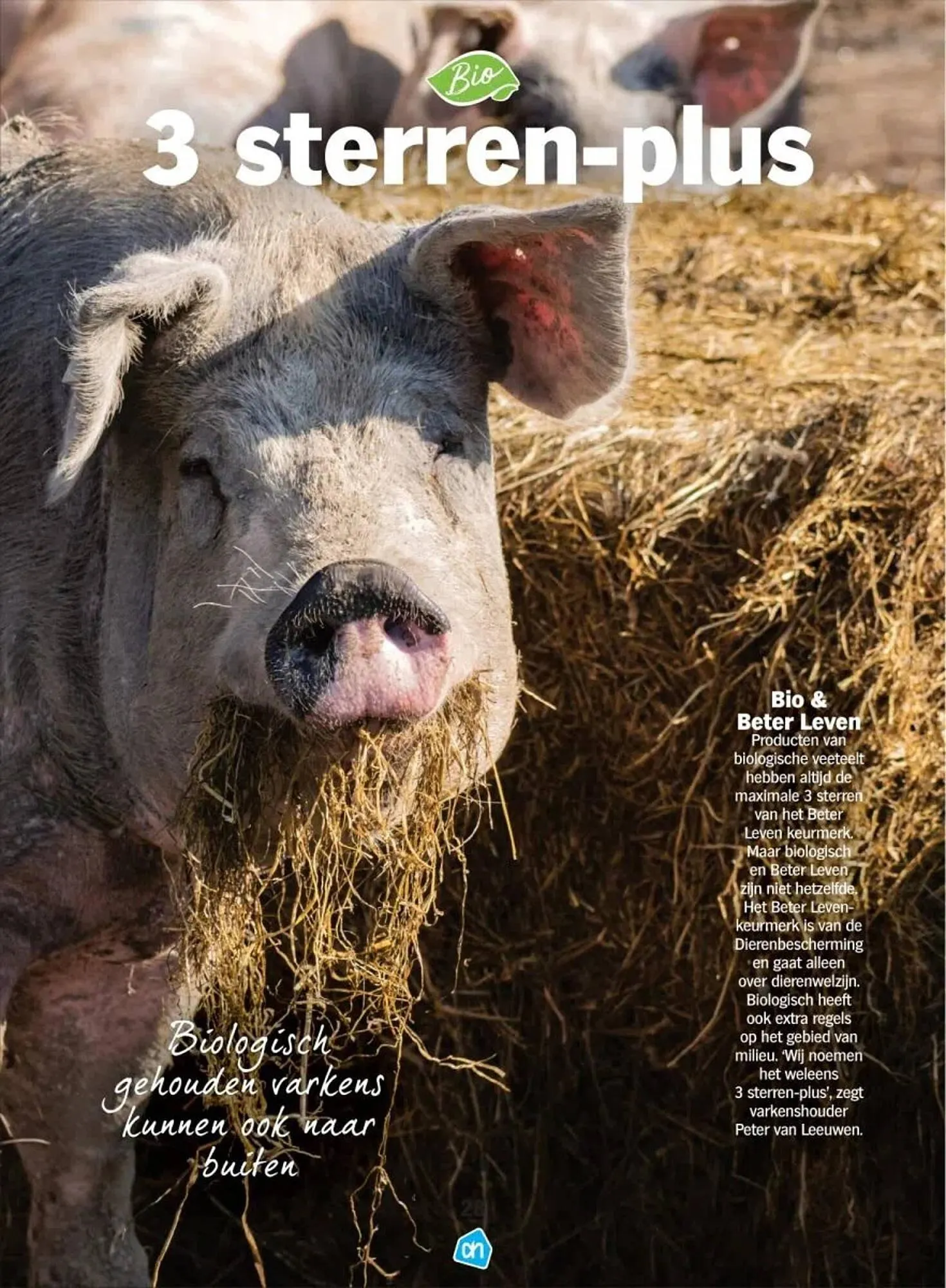 Albert Heijn Biologisch folder van 15 september tot 4 oktober 2023 - Folder pagina 28