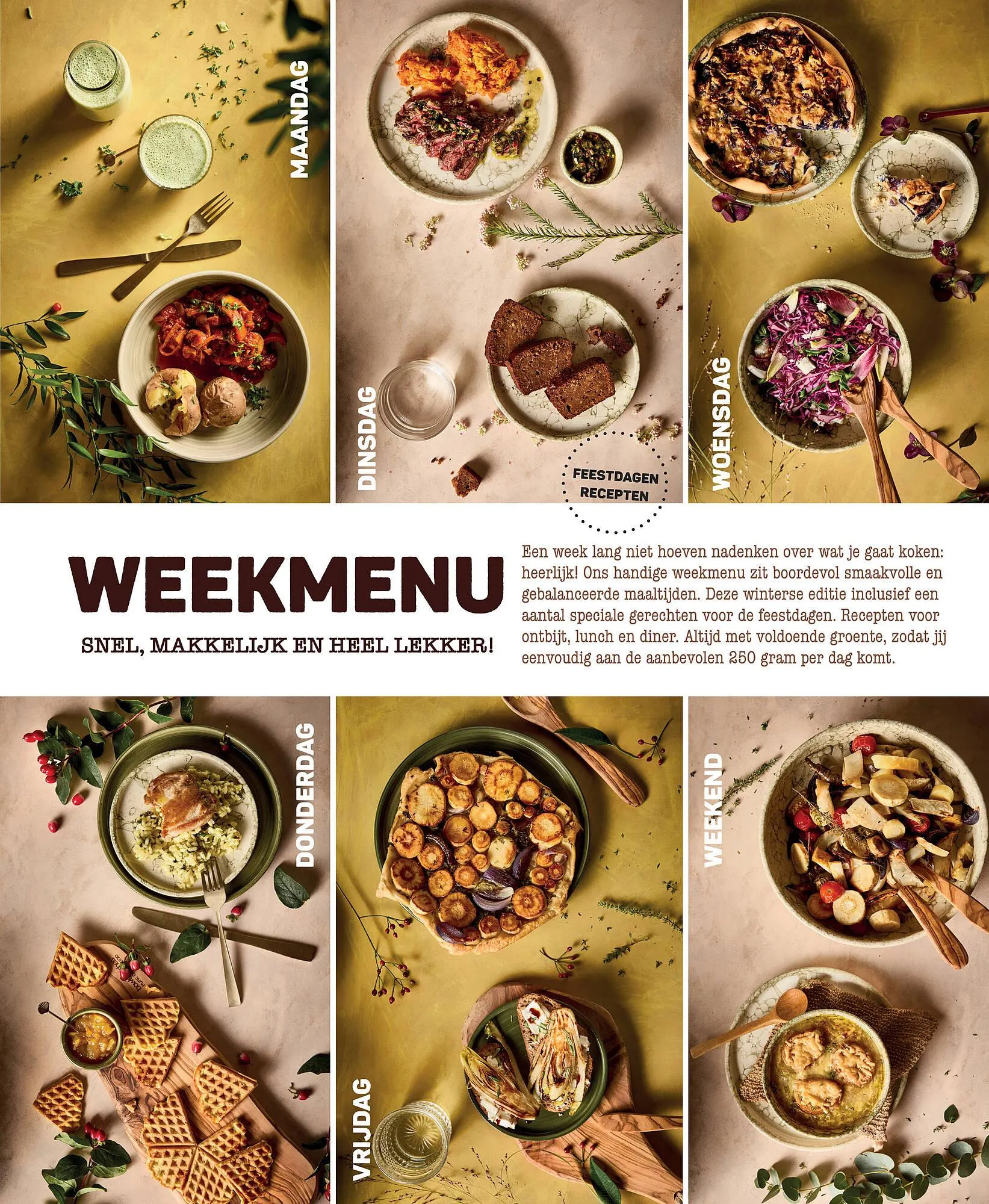 Ekoplaza magazine van 25 november tot 31 januari 2026 - Folder pagina 27