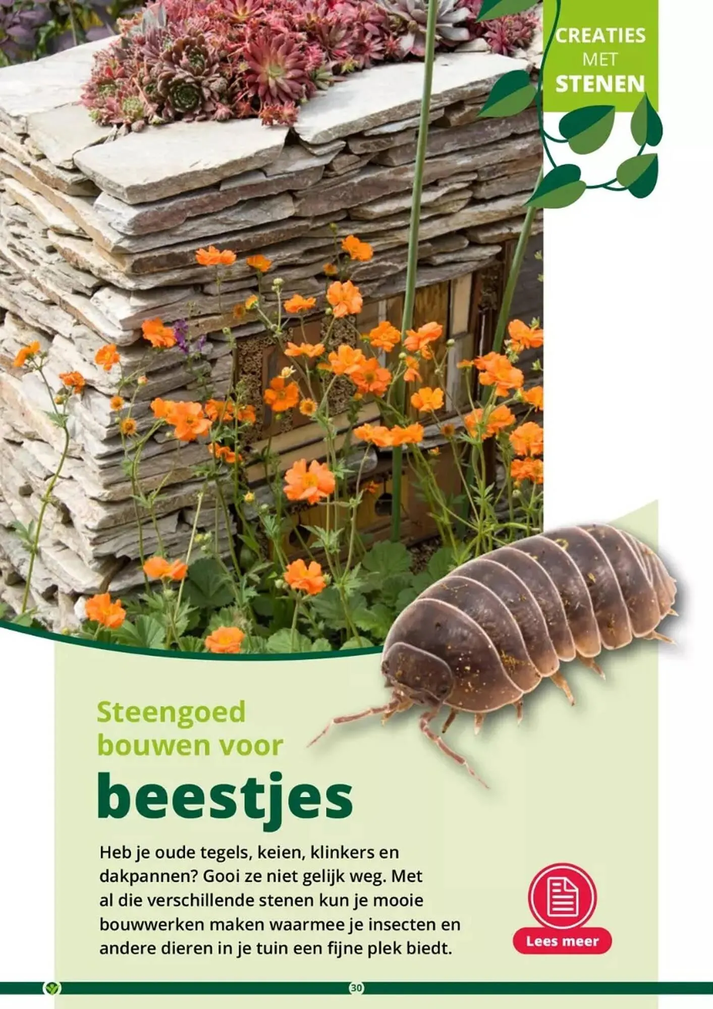 GroenRijk folder van 17 mei tot 31 augustus 2023 - Folder pagina 30