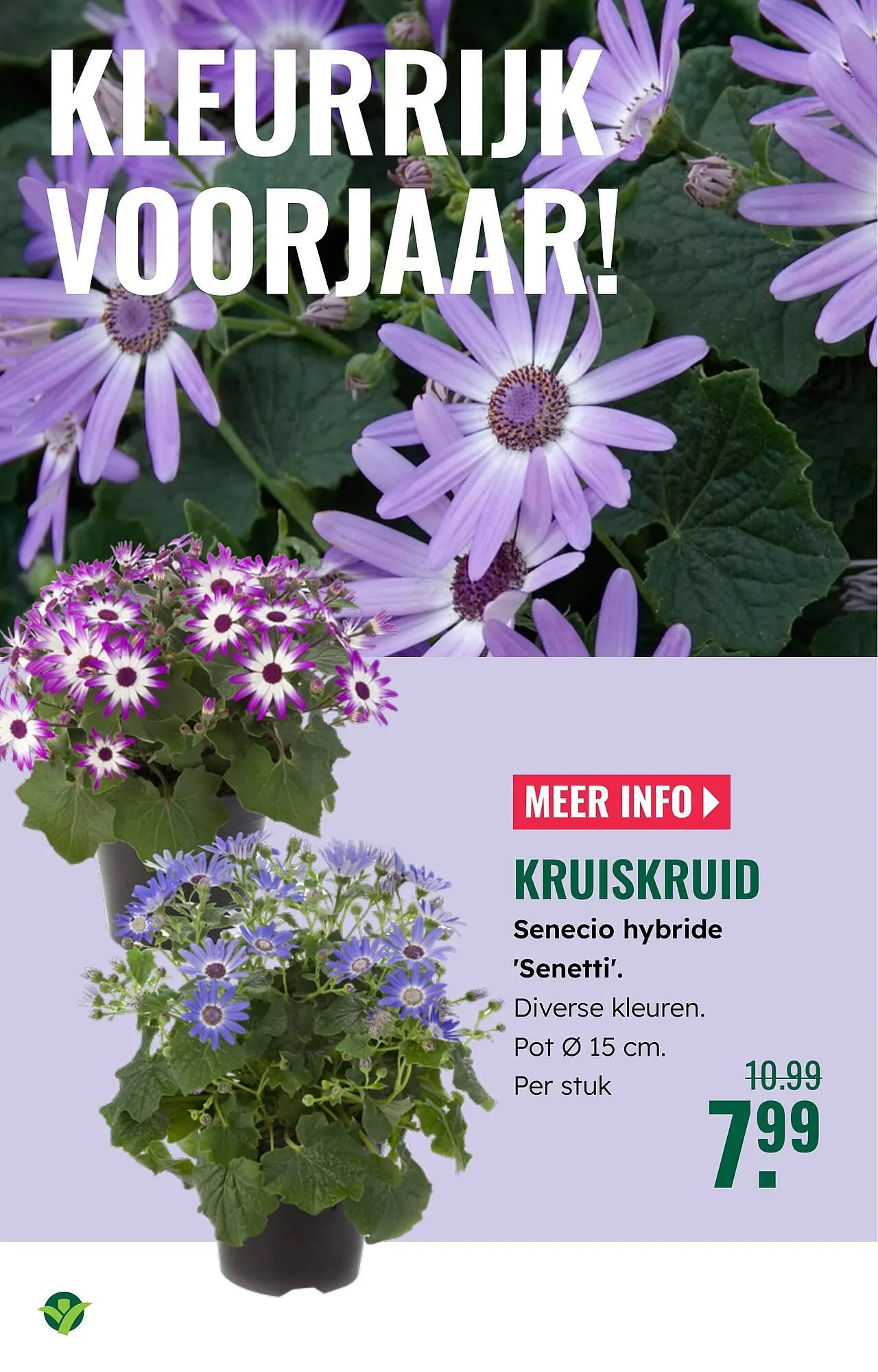 GroenRijk folder van 2 april tot 8 april 2026 - Folder pagina 20