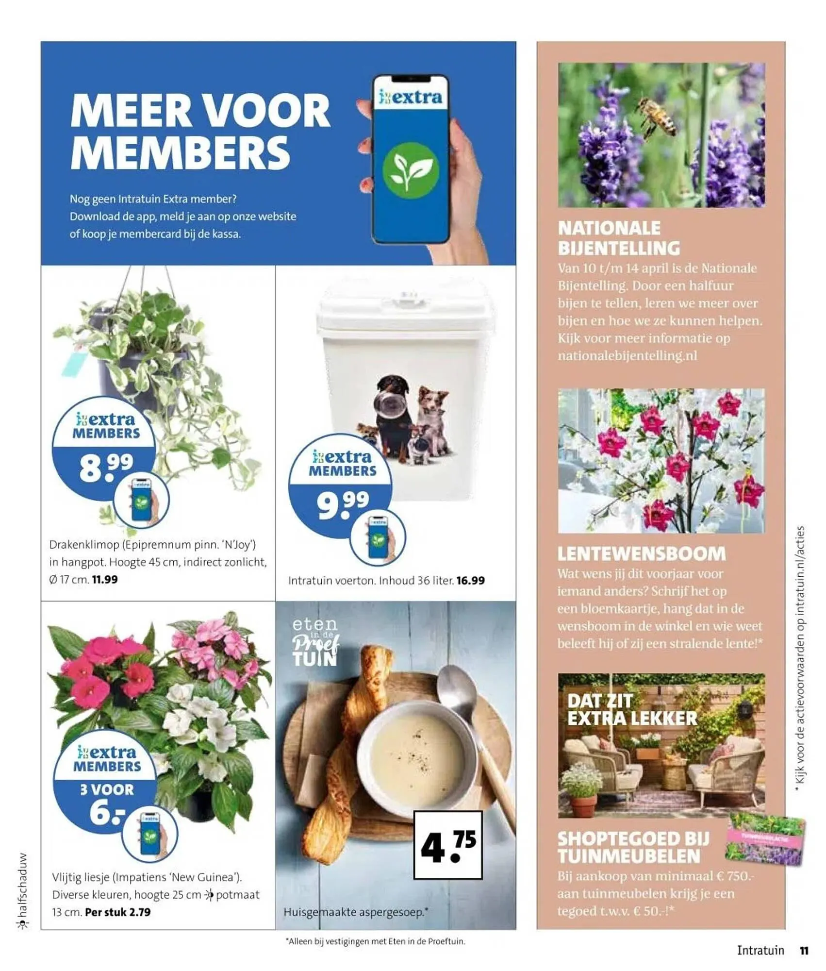 Intratuin folder van 31 maart tot 6 april 2025 - Folder pagina 11