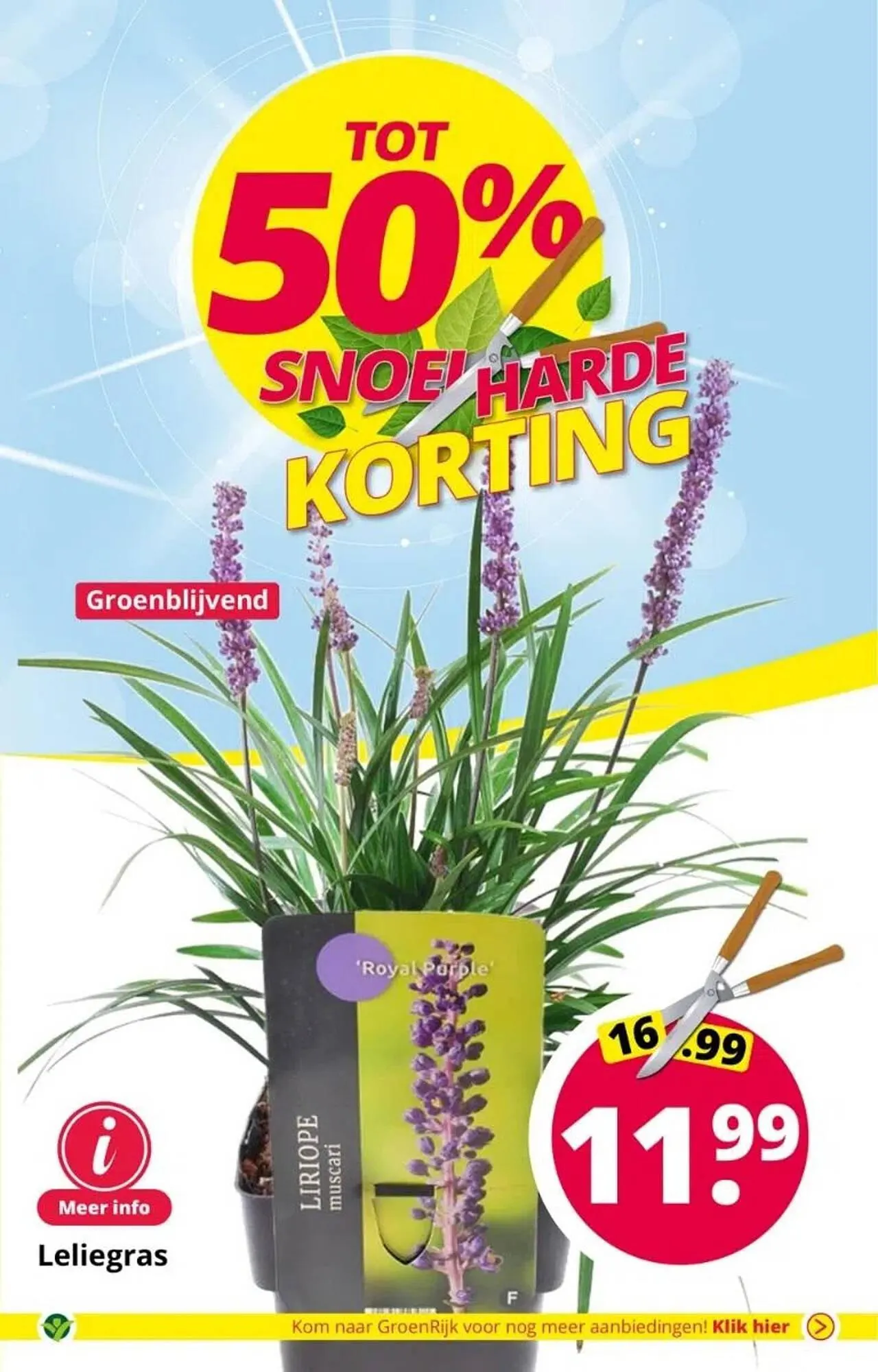 GroenRijk folder van 6 augustus tot 15 augustus 2023 - Folder pagina 5