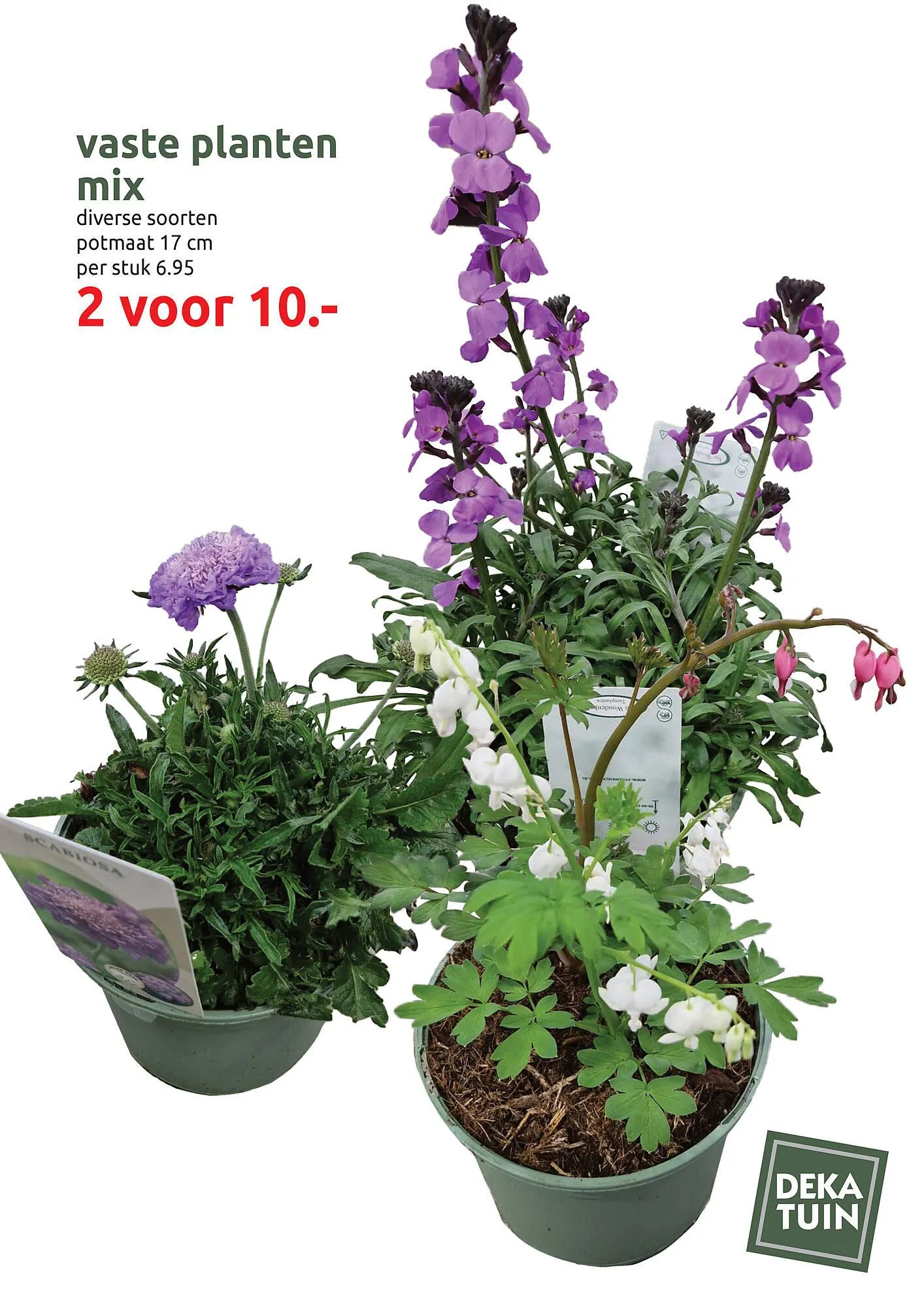 Deka Tuin folder van 31 maart tot 12 april 2025 - Folder pagina 9