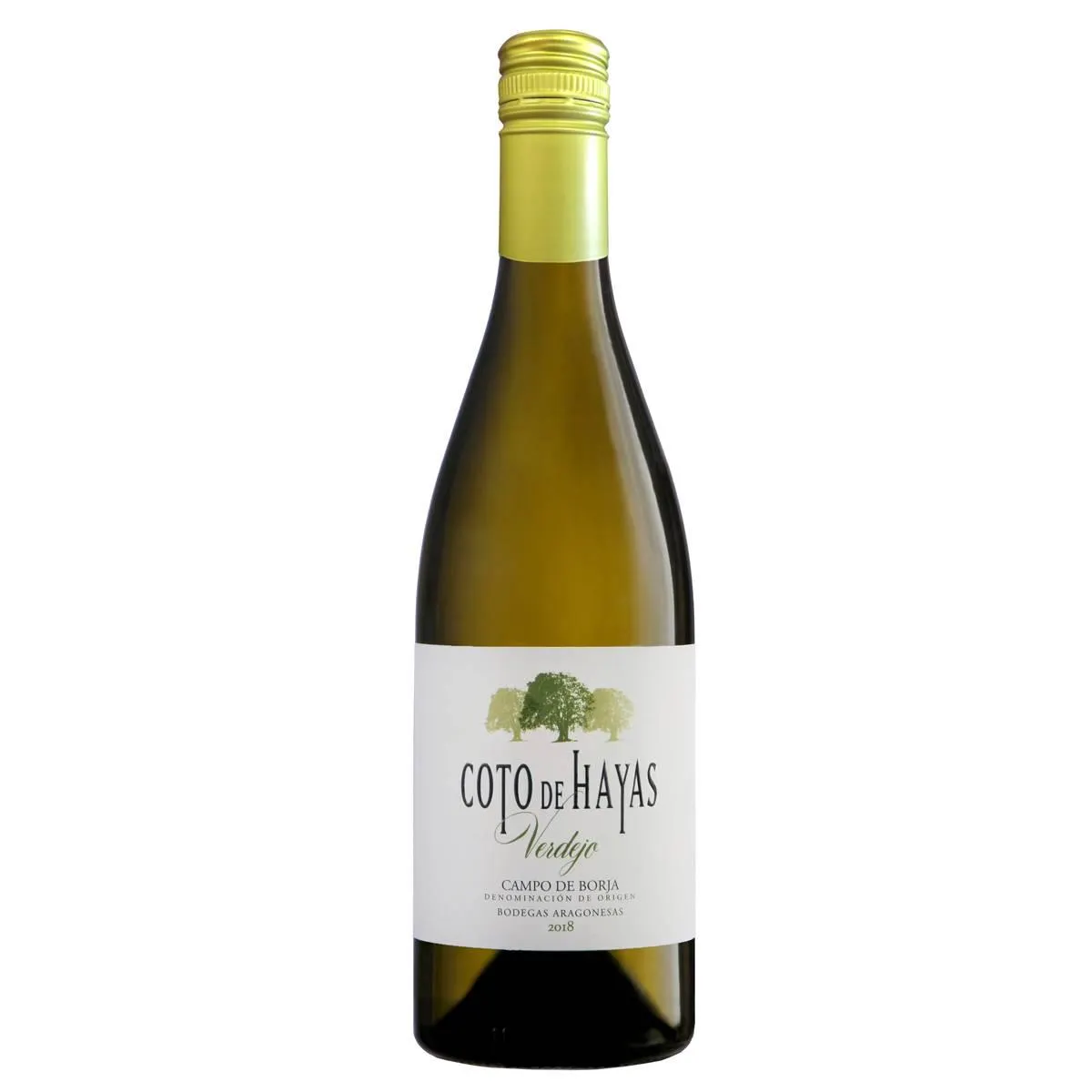 Coto de Hayas / (2022)