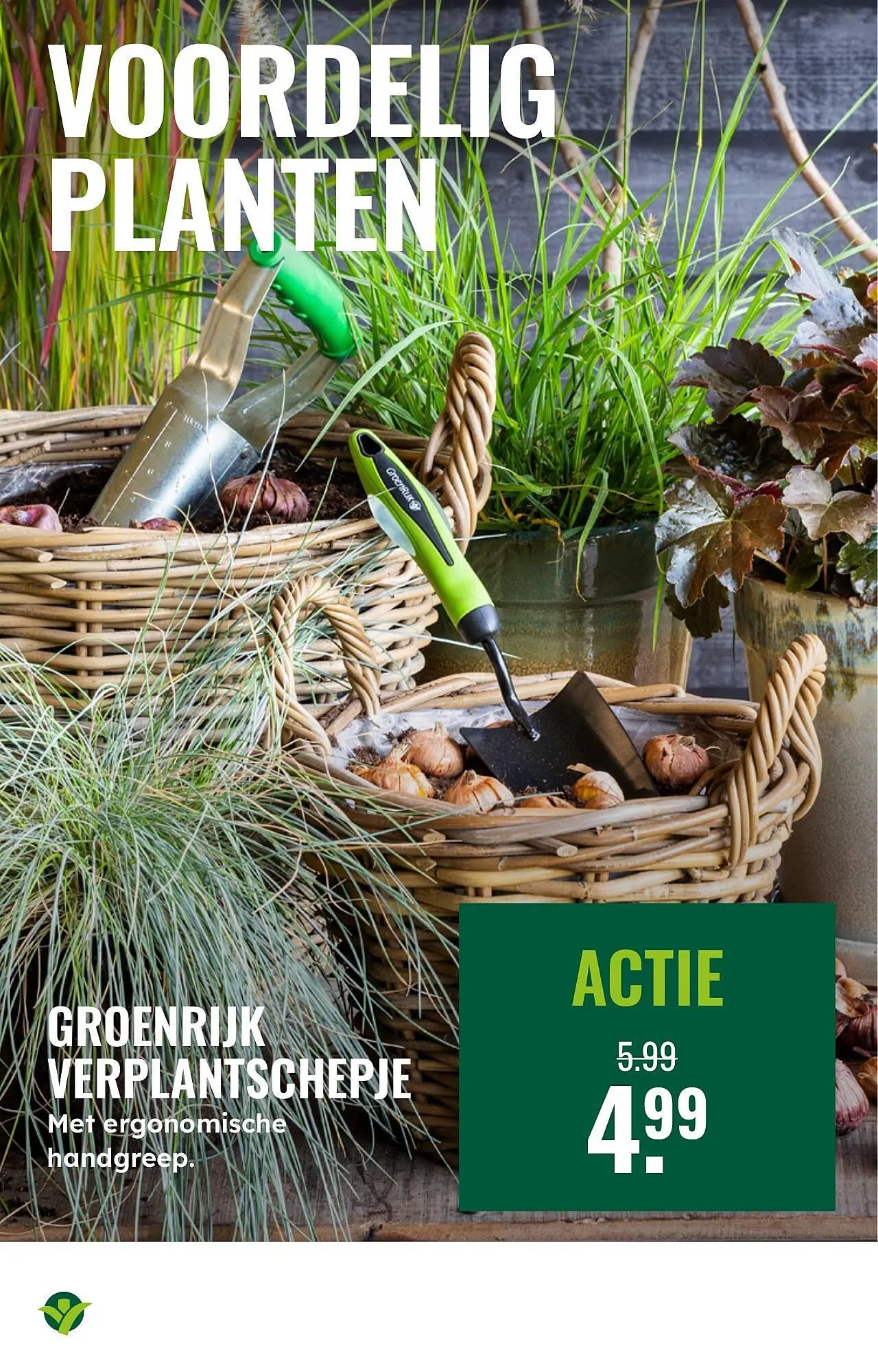 GroenRijk folder van 1 oktober tot 7 oktober 2025 - Folder pagina 11