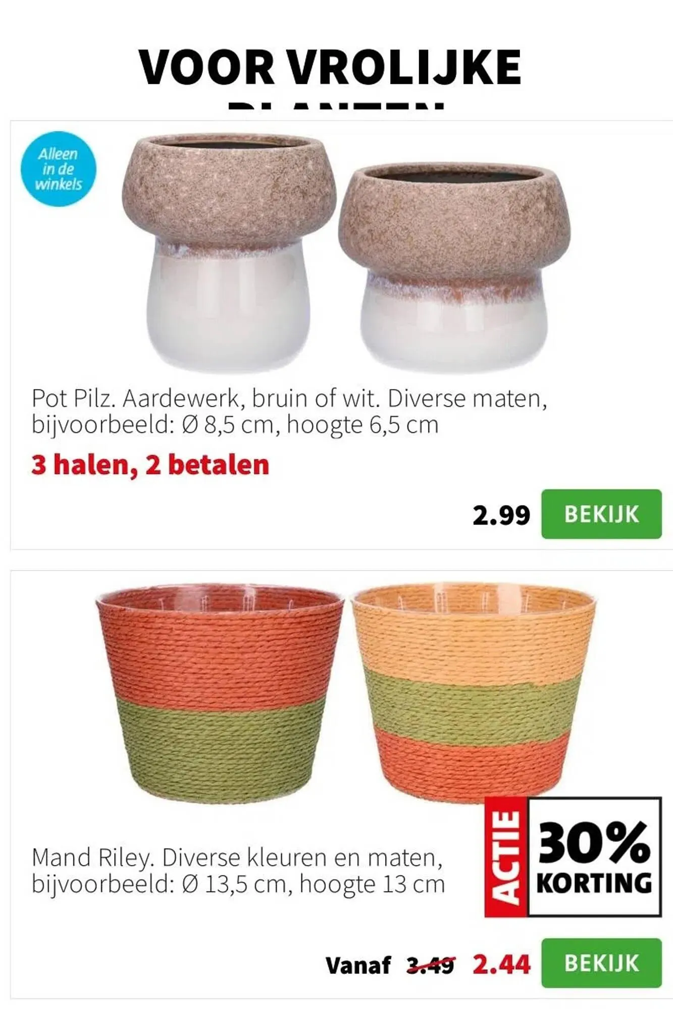 Intratuin folder van 2 september tot 8 september 2024 - Folder pagina 8