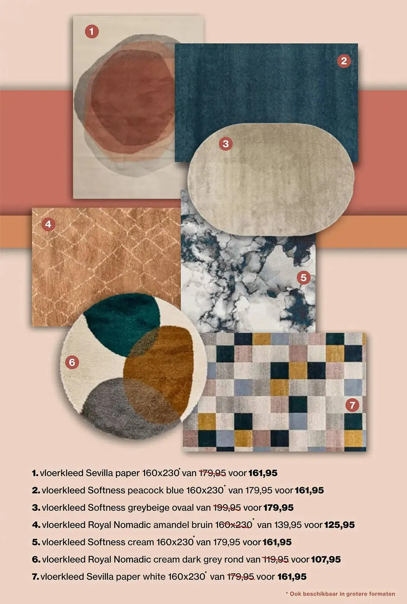 Roobol folder van 26 oktober tot 22 november 2024 - Folder pagina 9