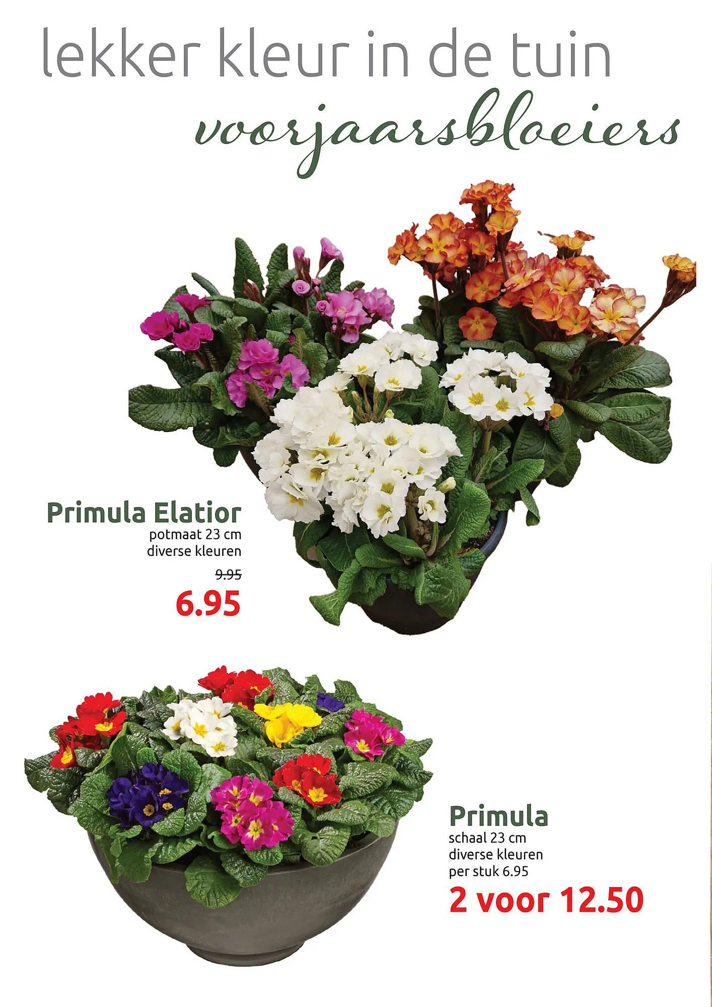 Deka Tuin folder van 3 maart tot 15 maart 2025 - Folder pagina 8