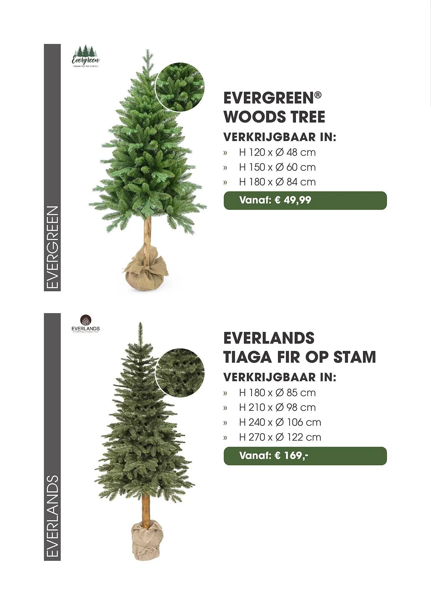 Coppelmans kerstbomencatalogus van 12 november tot 24 december 2025 - Folder pagina 37