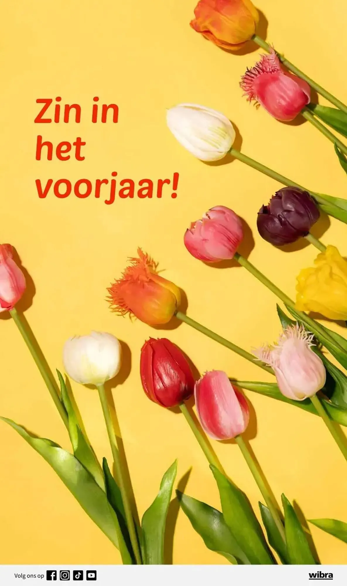 Wibra folder van 19 januari tot 1 februari 2026 - Folder pagina 10