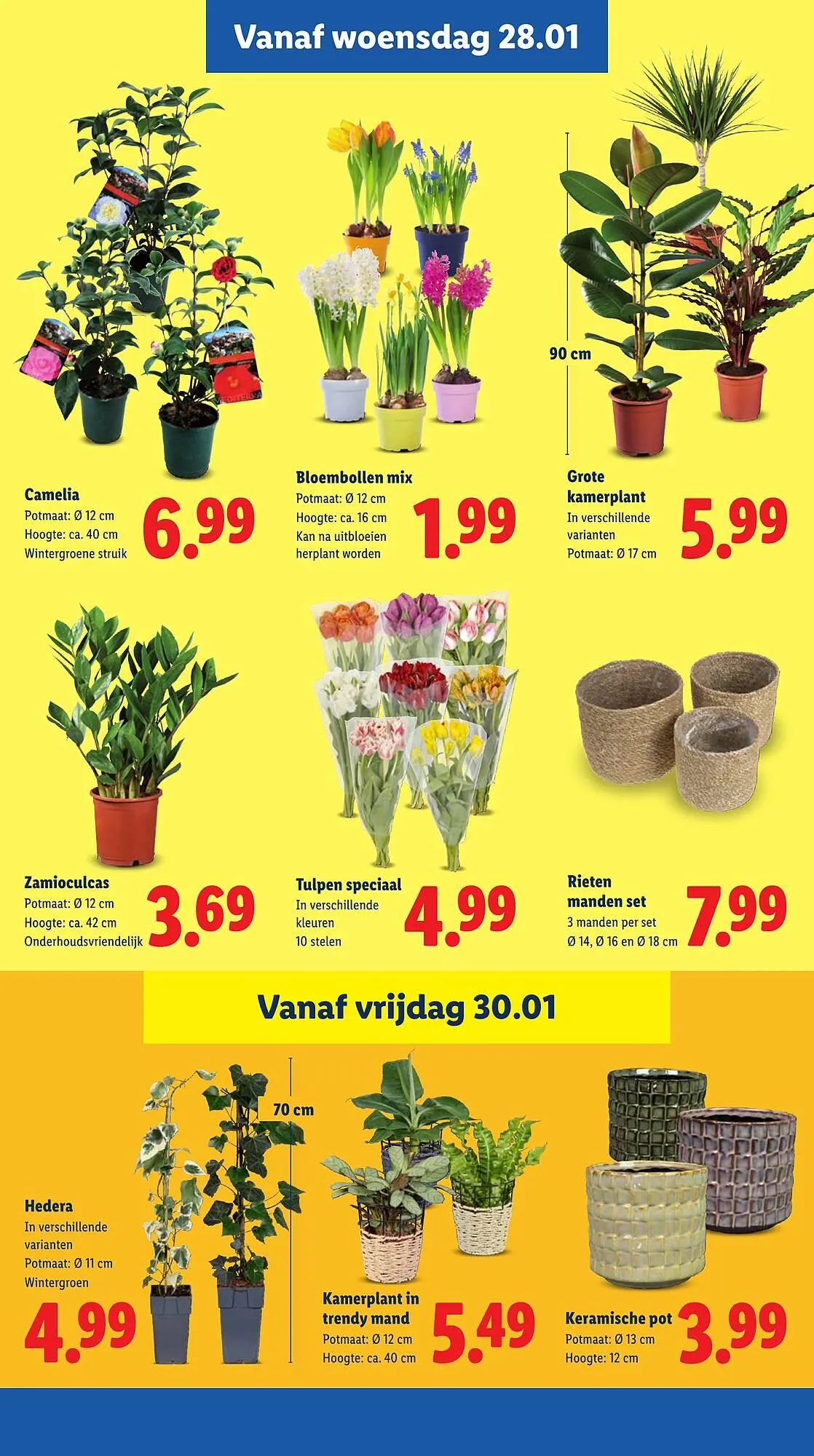 Lidl folder van 26 januari tot 1 februari 2026 - Folder pagina 20