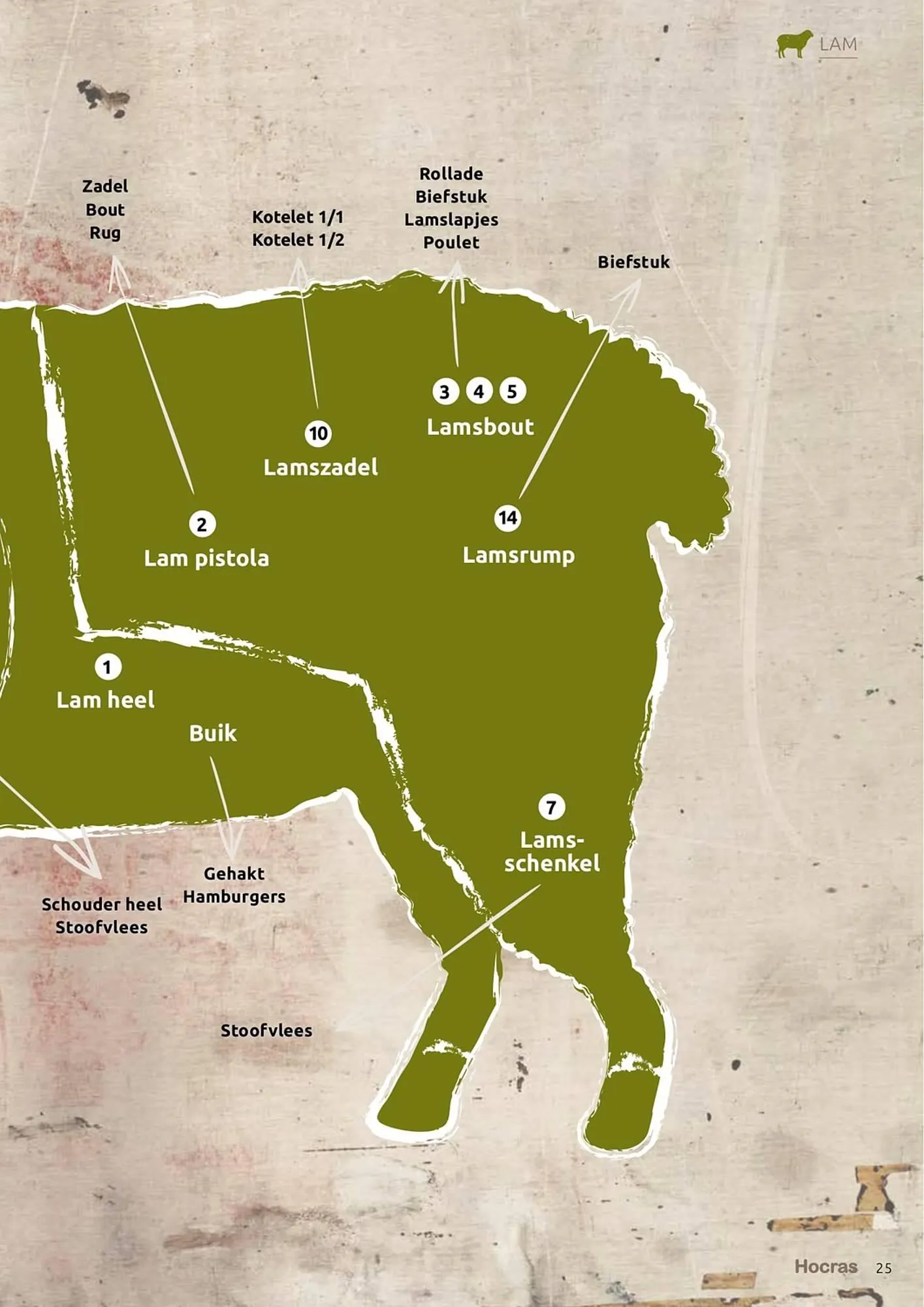Hocras Vlees folder van 15 februari tot 31 december 2023 - Folder pagina 25