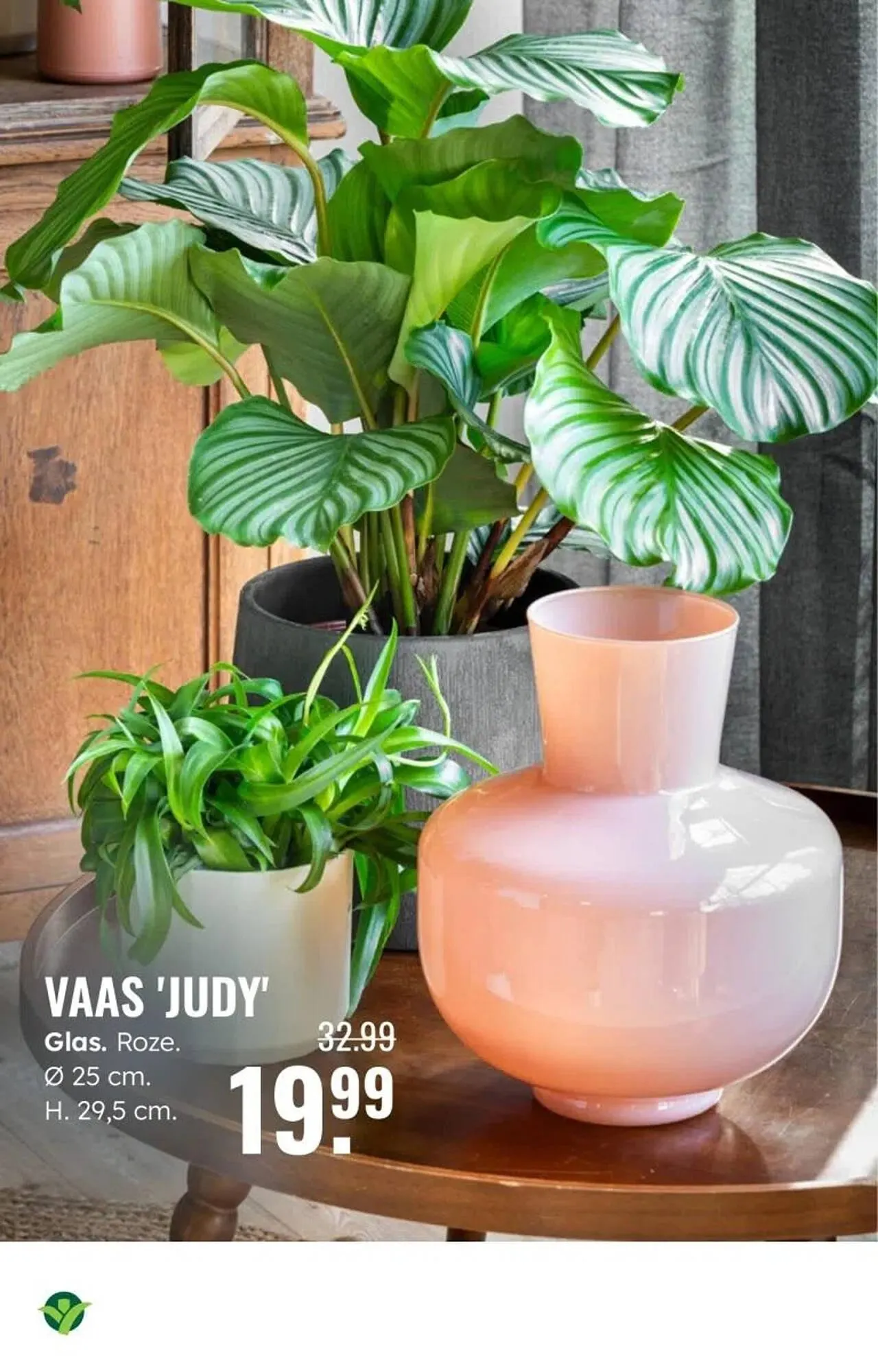 GroenRijk folder van 30 december tot 7 januari 2026 - Folder pagina 12