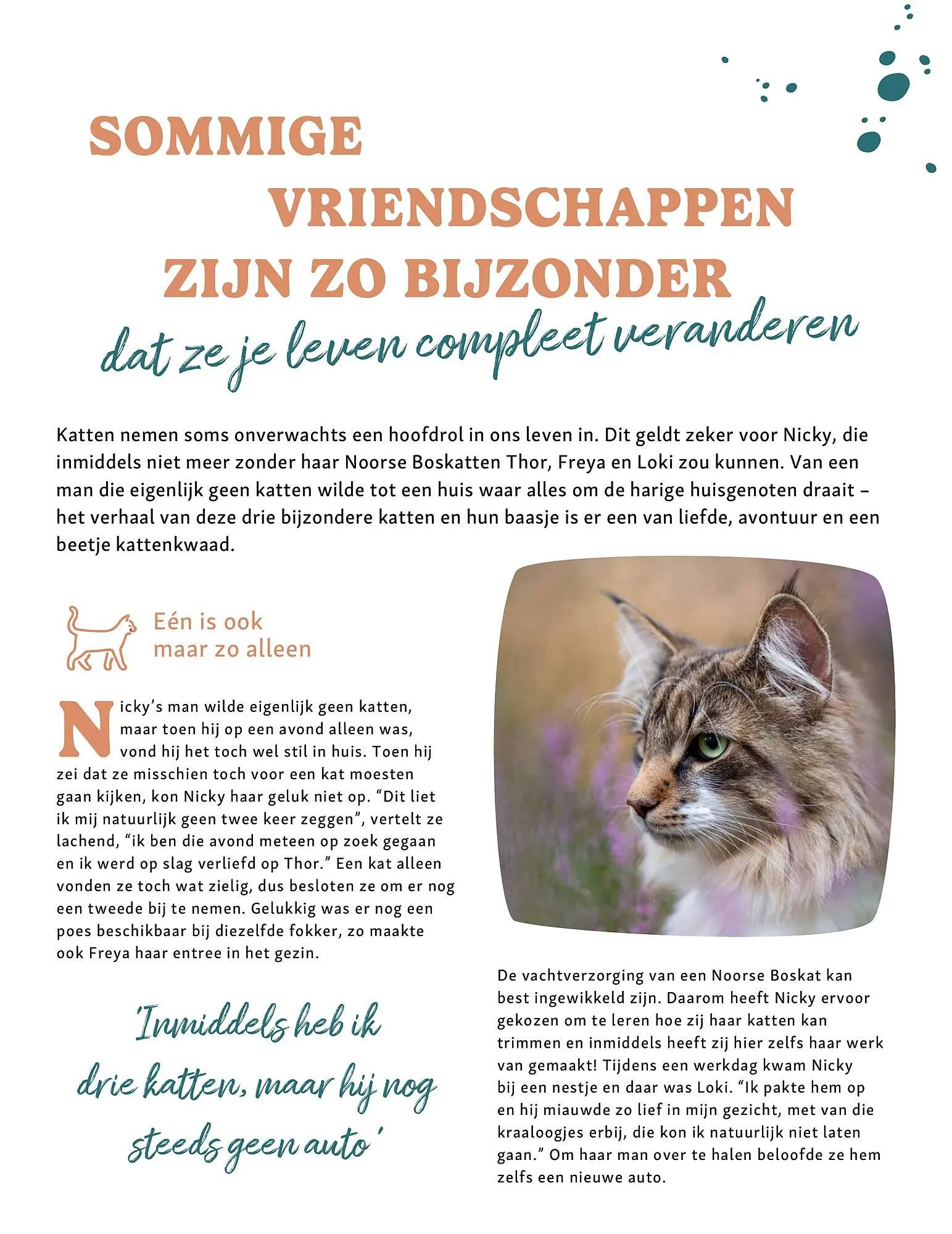 Maxi Zoo folder van 24 maart tot 6 april 2025 - Folder pagina 19