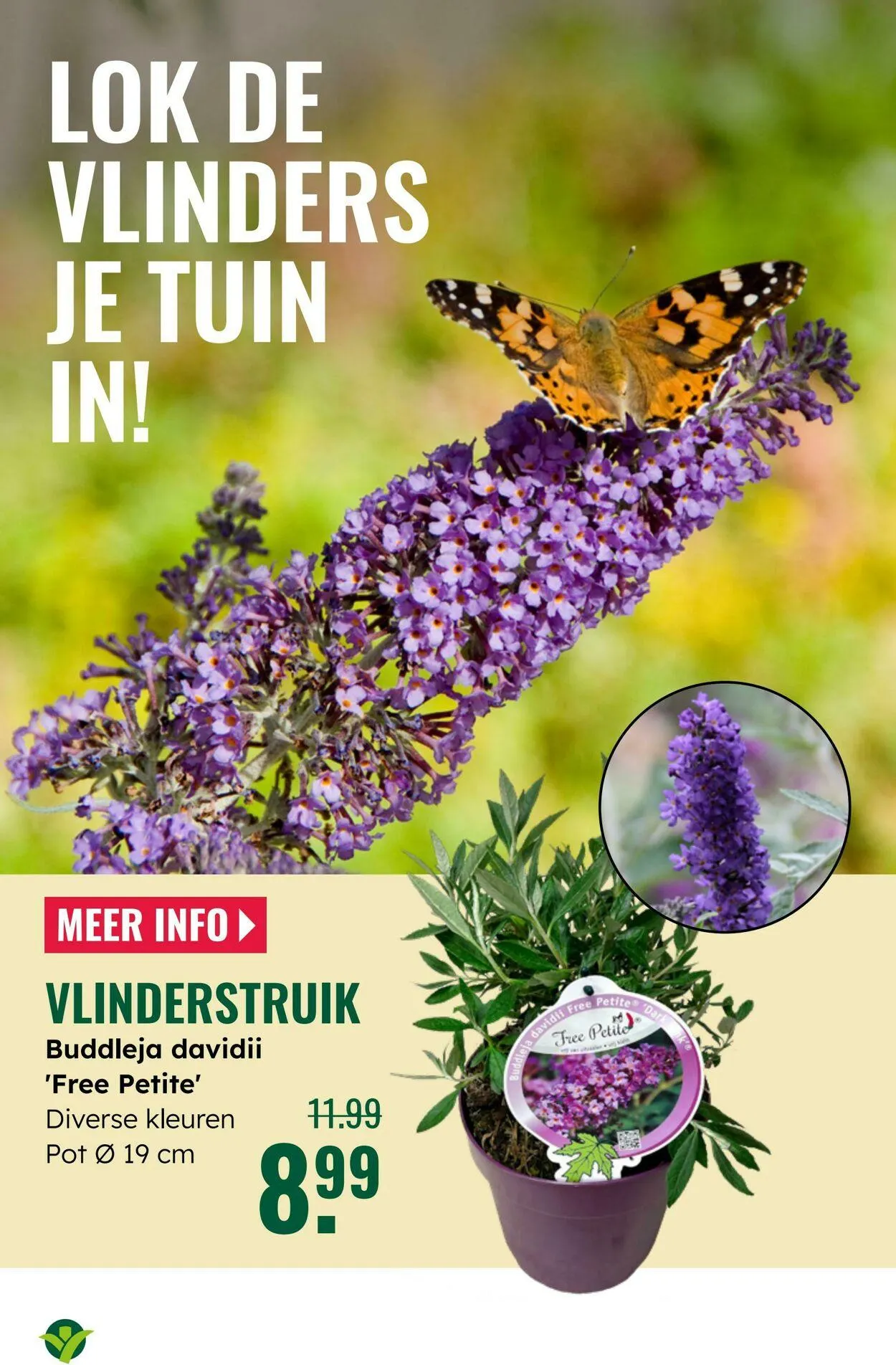 GroenRijk Actuele folder van 5 augustus tot 19 augustus 2025 - Folder pagina 16