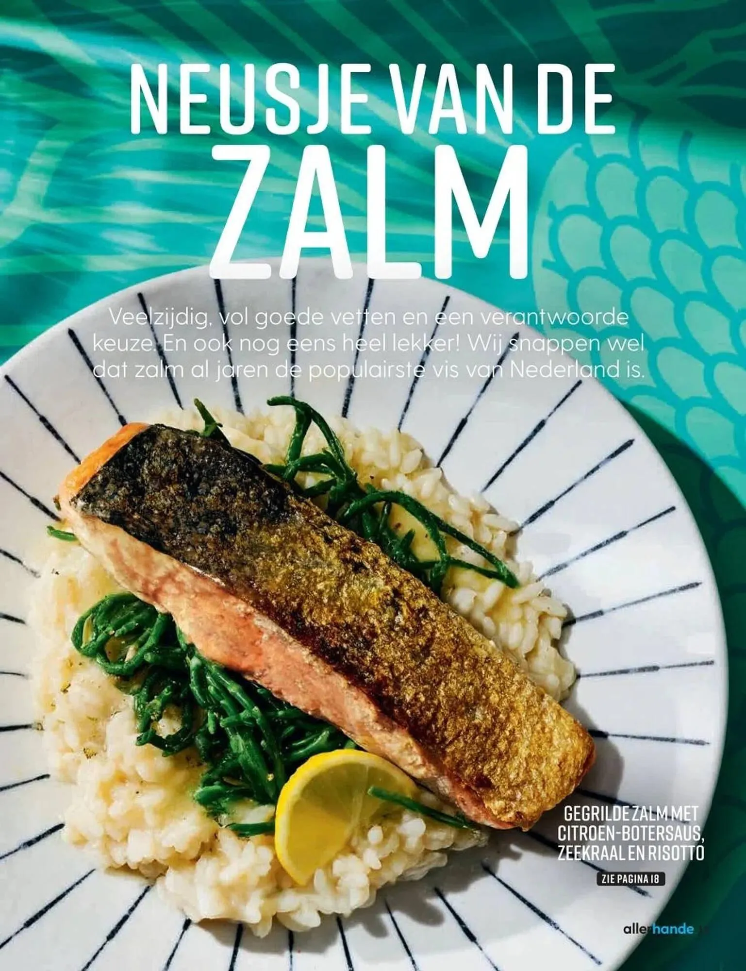 Albert Heijn folder van 19 mei tot 16 juni 2025 - Folder pagina 17