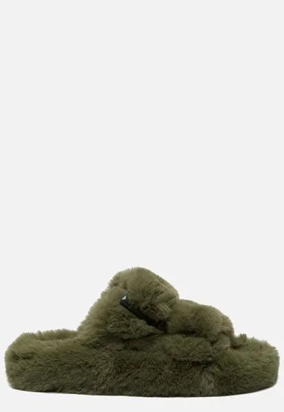 Colors of California