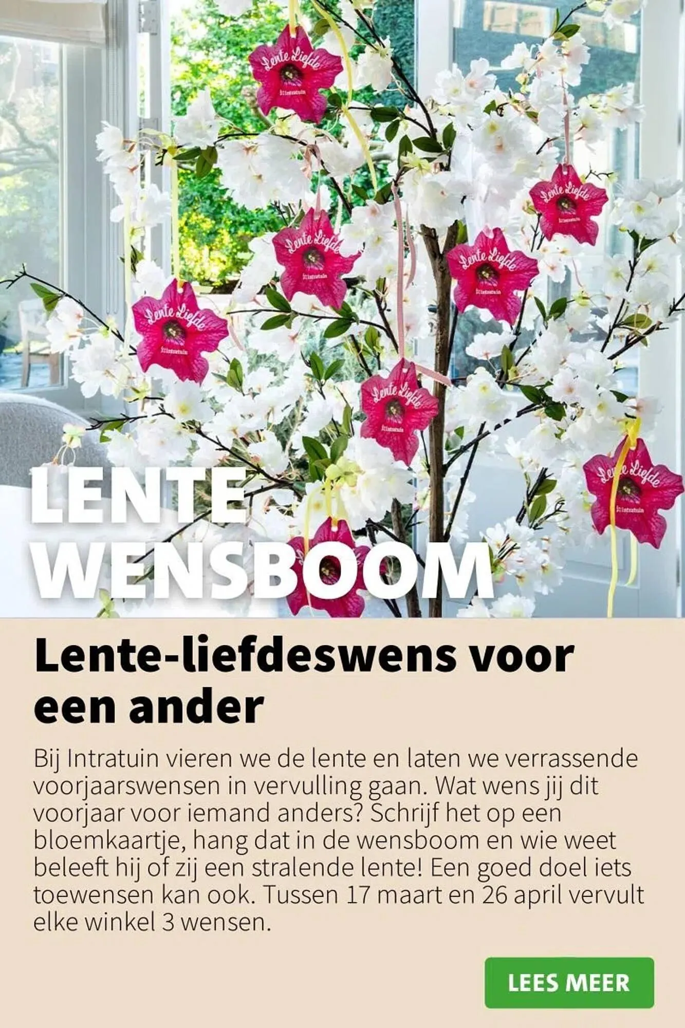 Intratuin folder van 7 april tot 13 april 2025 - Folder pagina 13