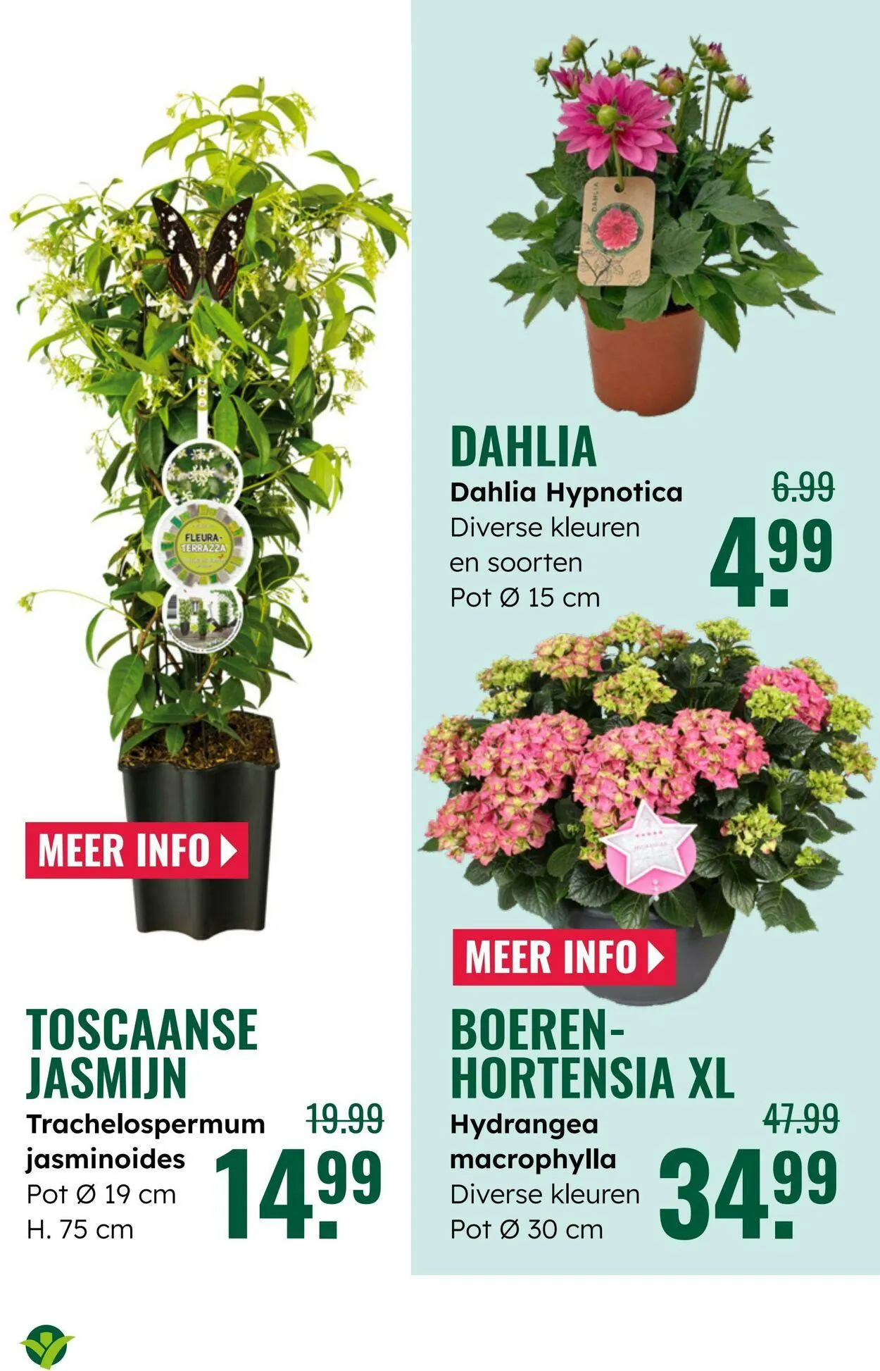 GroenRijk Actuele folder van 2 september tot 16 september 2025 - Folder pagina 6