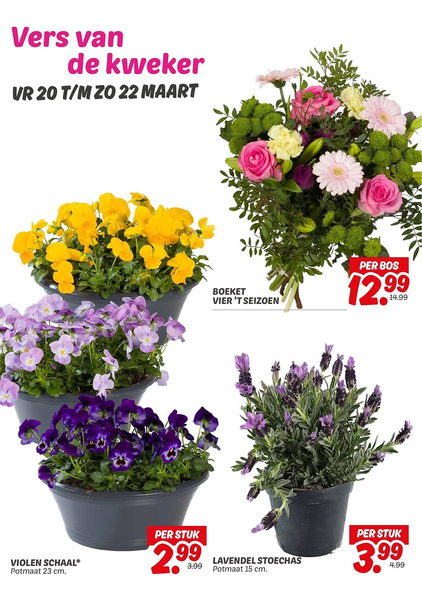 Dekamarkt folder van 20 maart tot 22 maart 2026 - Folder pagina 6